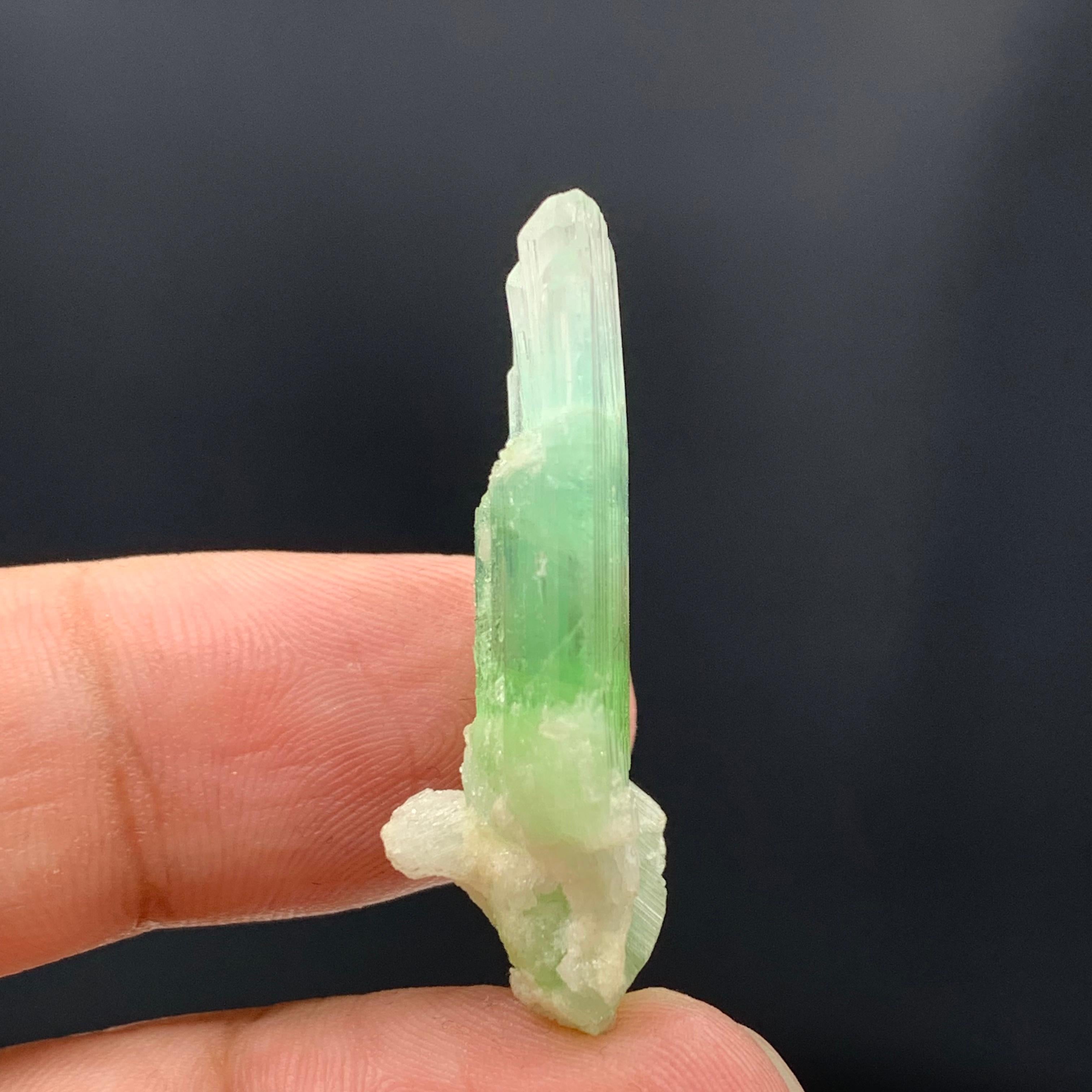 30,10 Quilates Hermoso Cristal de Turmalina Bicolor de Afganistán en Bueno estado para la venta en Peshawar, PK
