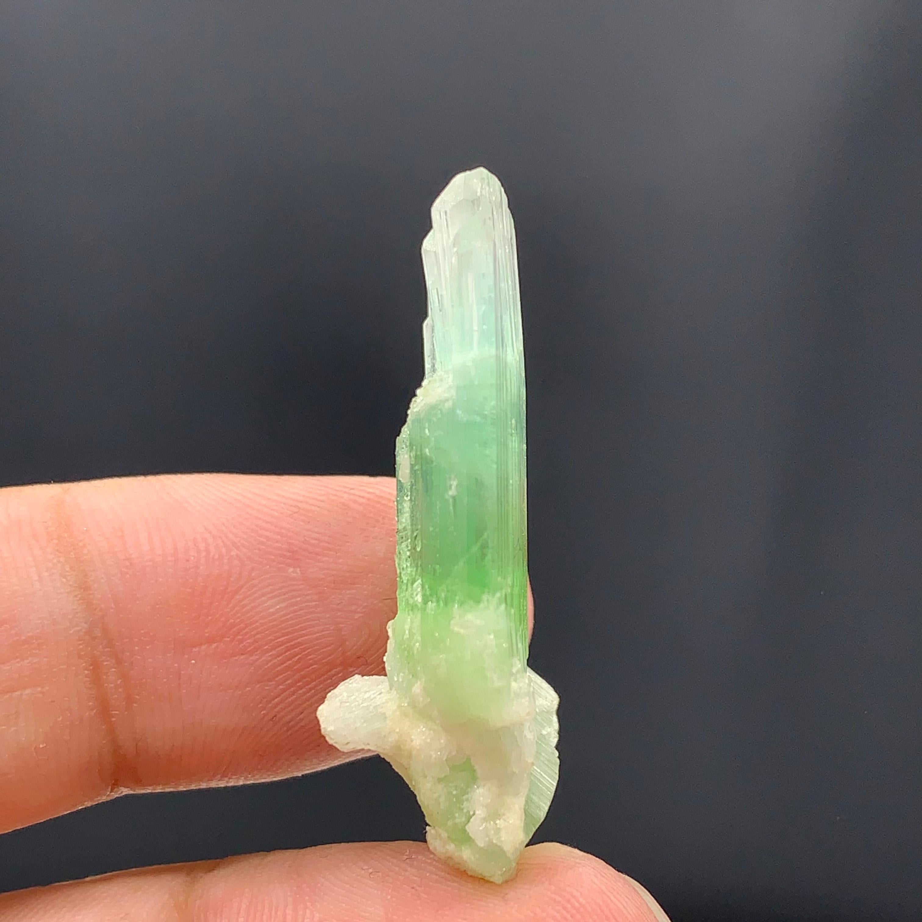 Rock Crystal 30.10 Carats Beautiful Bi Color Tourmaline Crystal From Afghanistan  For Sale