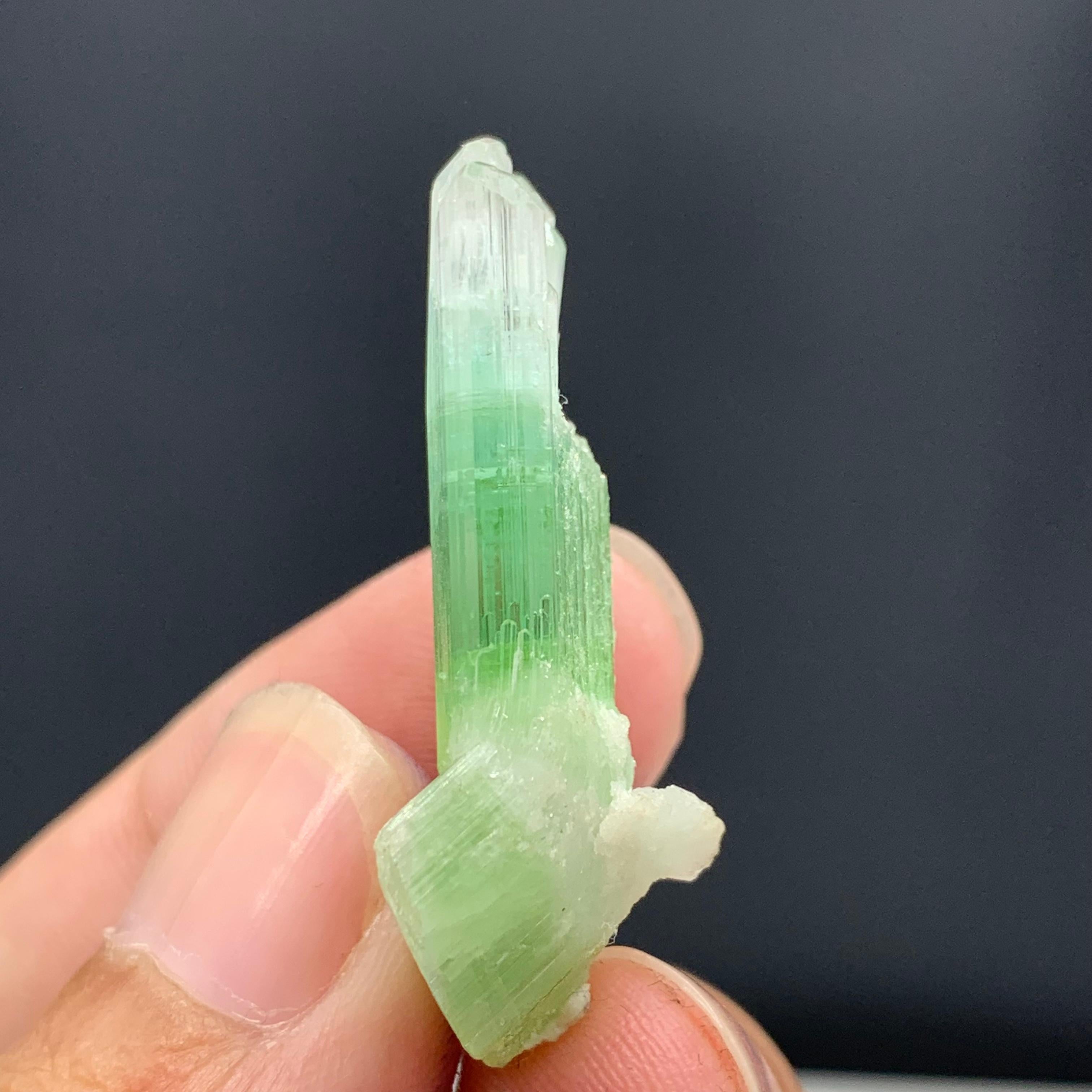 Magnifique cristal de tourmaline bicolore d'Afghanistan de 30,10 carats  en vente 1