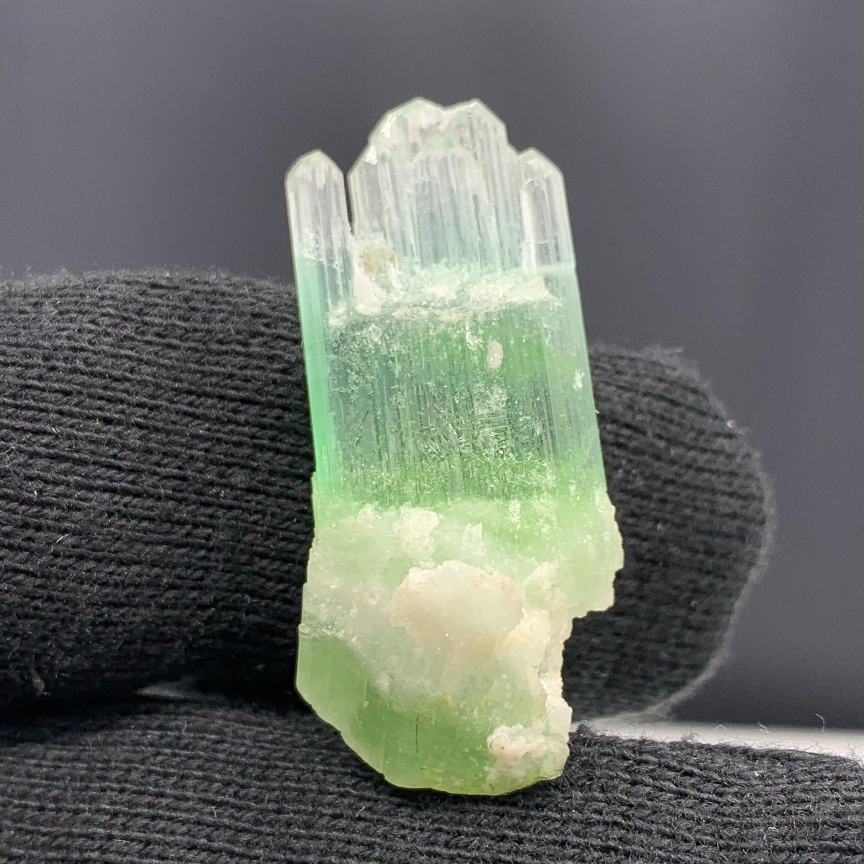 Magnifique cristal de tourmaline bicolore d'Afghanistan de 30,10 carats  en vente 2