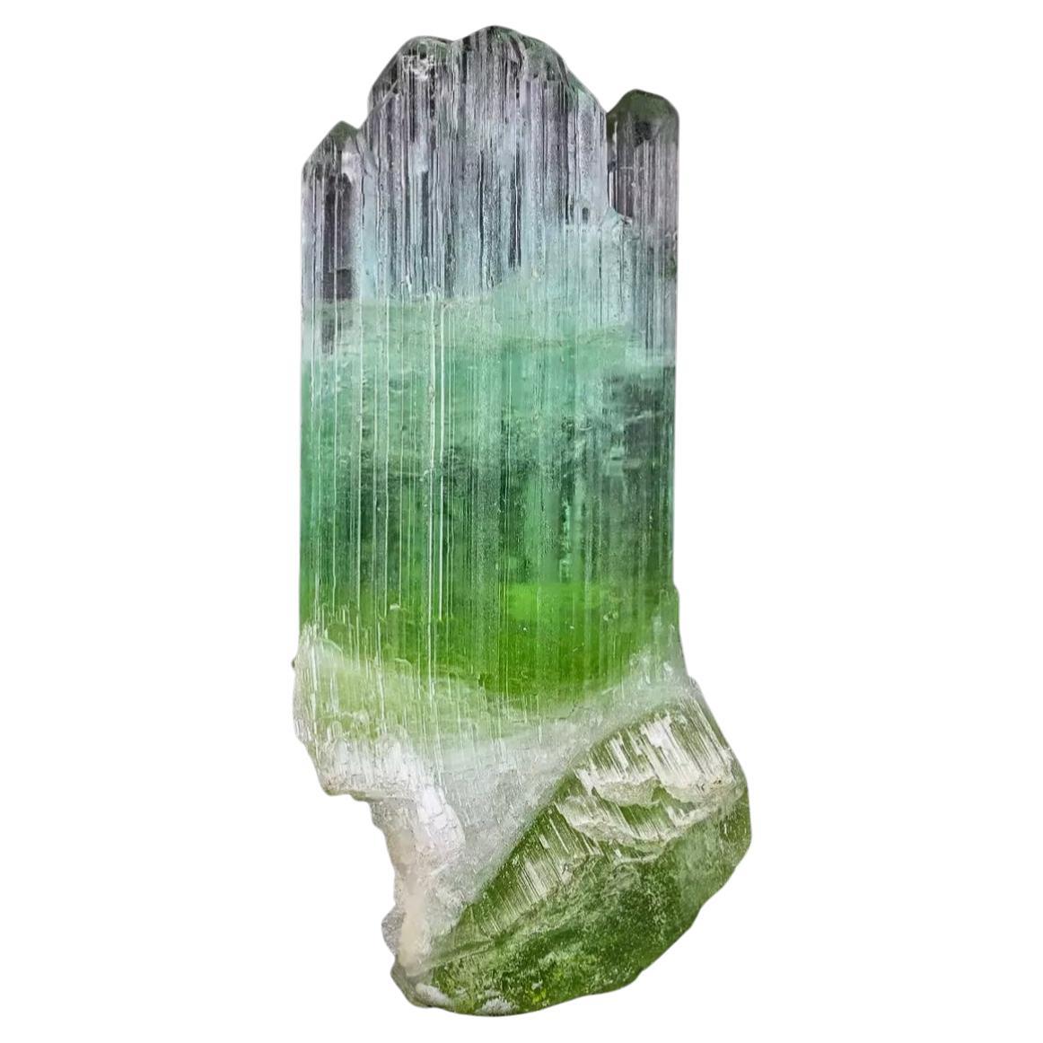 Magnifique cristal de tourmaline bicolore d'Afghanistan de 30,10 carats  en vente