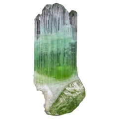 Magnifique cristal de tourmaline bicolore d'Afghanistan de 30,10 carats 