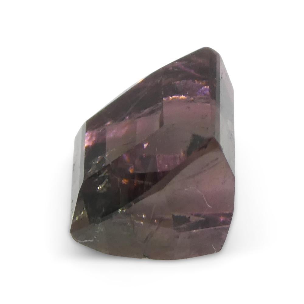 3,01 ct Turmalina Azul y Rosa Bicolor Tallada en Barril en venta 5