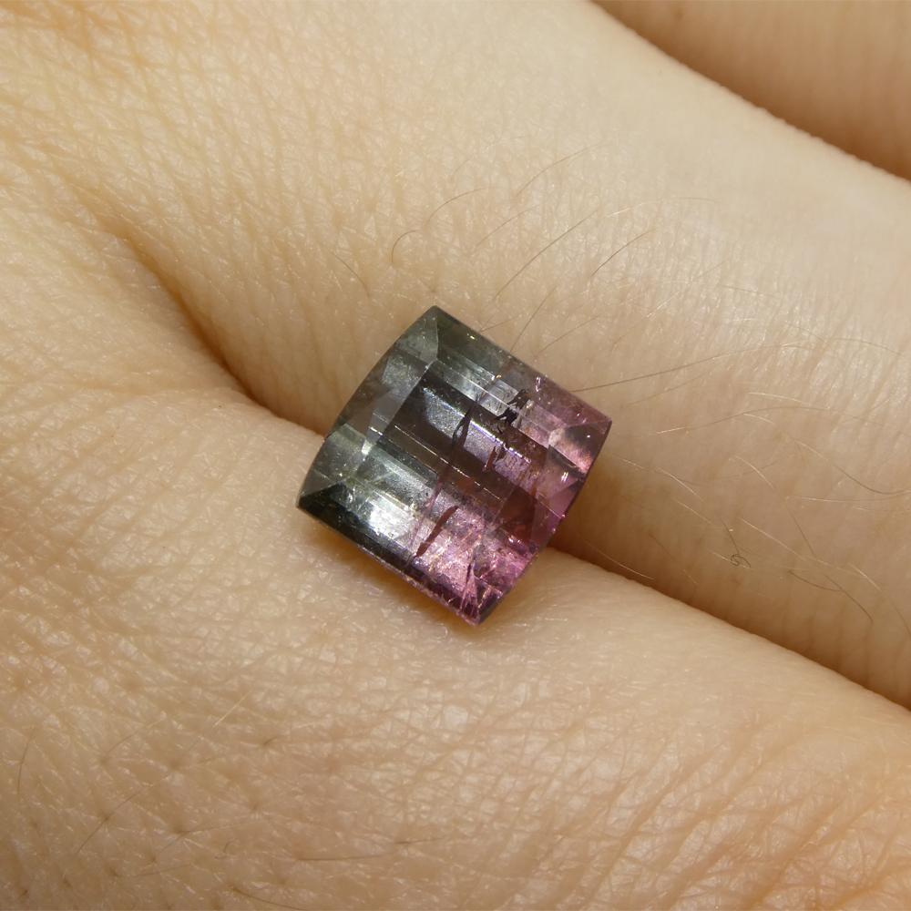 3,01 ct Turmalina Azul y Rosa Bicolor Tallada en Barril en venta 8