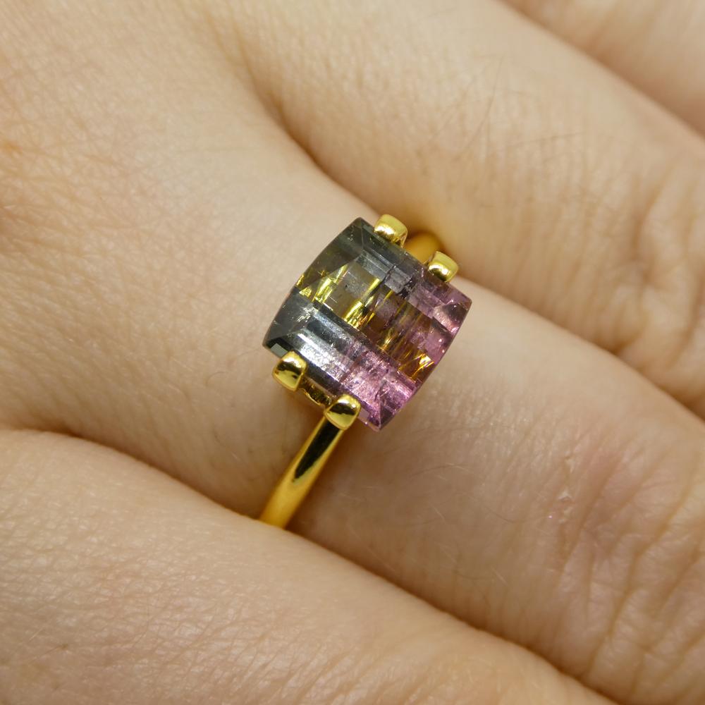 Descripción:

Tipo de gema: Turmalina bicolor
Número de Piedras: 1
Peso: 3,01 cts
Medidas: 7,48 x 7,39 x 5,90 mm
Forma: Corte de barril
Estilo de corte Corona: Corte escalonado
Pabellón del Estilo de Corte: Corte Escalonado
Transparencia: