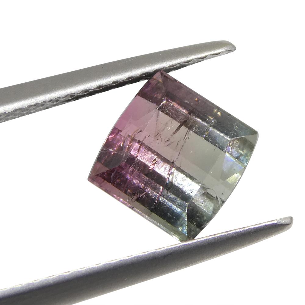 3,01 ct Turmalina Azul y Rosa Bicolor Tallada en Barril Corte brillante en venta