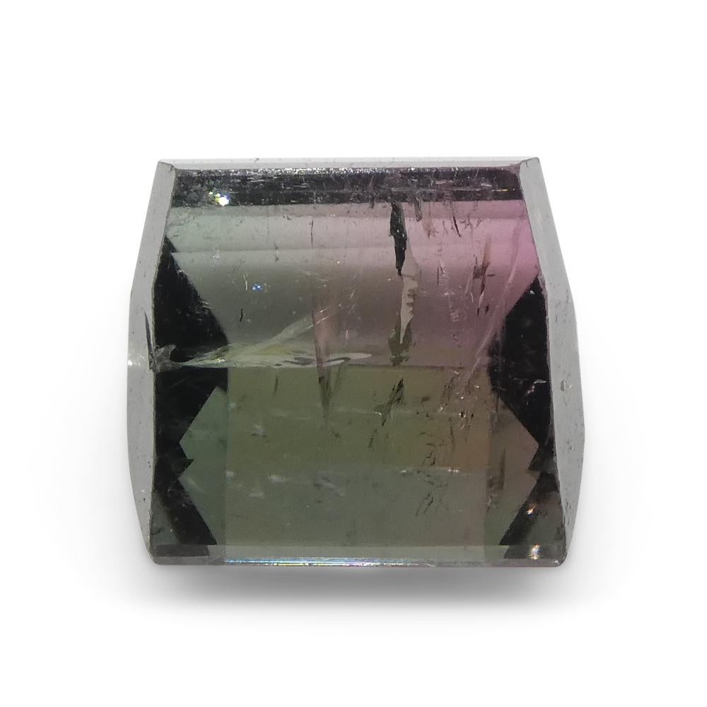 3,01 ct Turmalina Azul y Rosa Bicolor Tallada en Barril en Nuevo estado para la venta en Toronto, Ontario