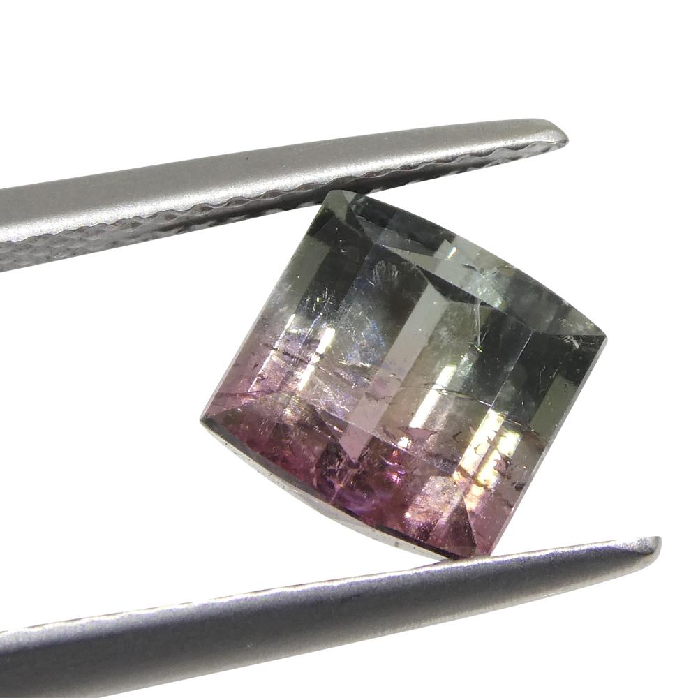 Femenino o masculino 3,01 ct Turmalina Azul y Rosa Bicolor Tallada en Barril en venta