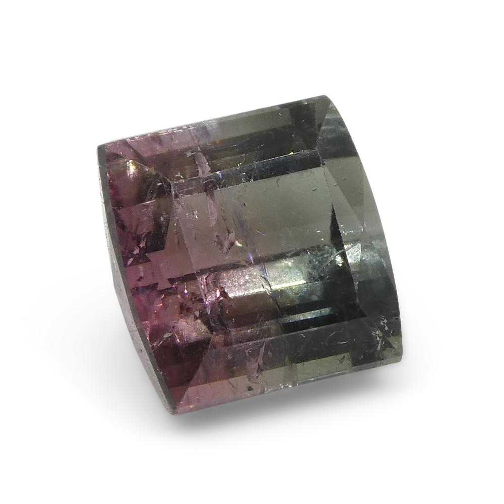 3,01 ct Turmalina Azul y Rosa Bicolor Tallada en Barril en venta 1