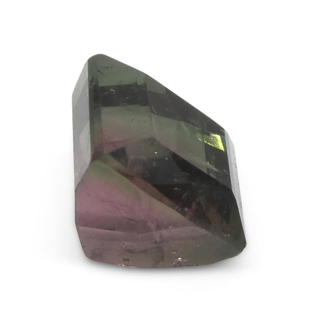 3,01 ct Turmalina Azul y Rosa Bicolor Tallada en Barril en venta 2