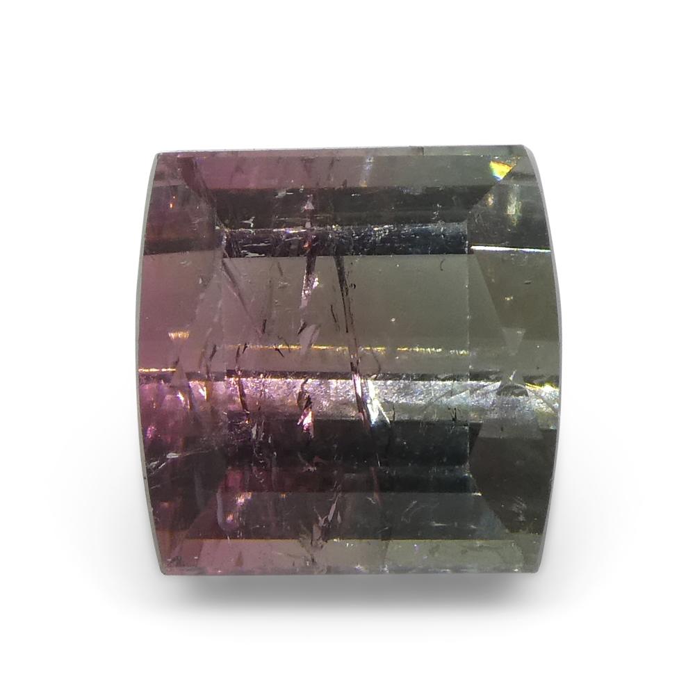 3,01 ct Turmalina Azul y Rosa Bicolor Tallada en Barril en venta 3