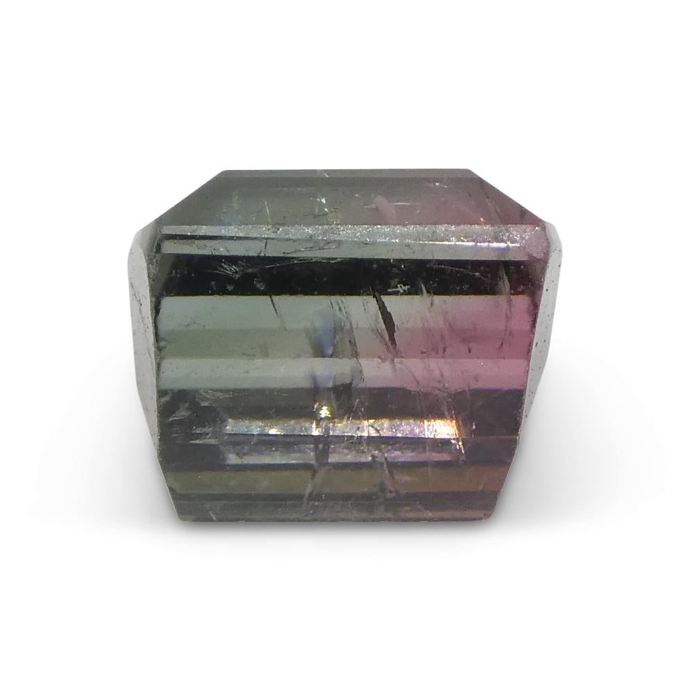 3,01 ct Turmalina Azul y Rosa Bicolor Tallada en Barril en venta 4