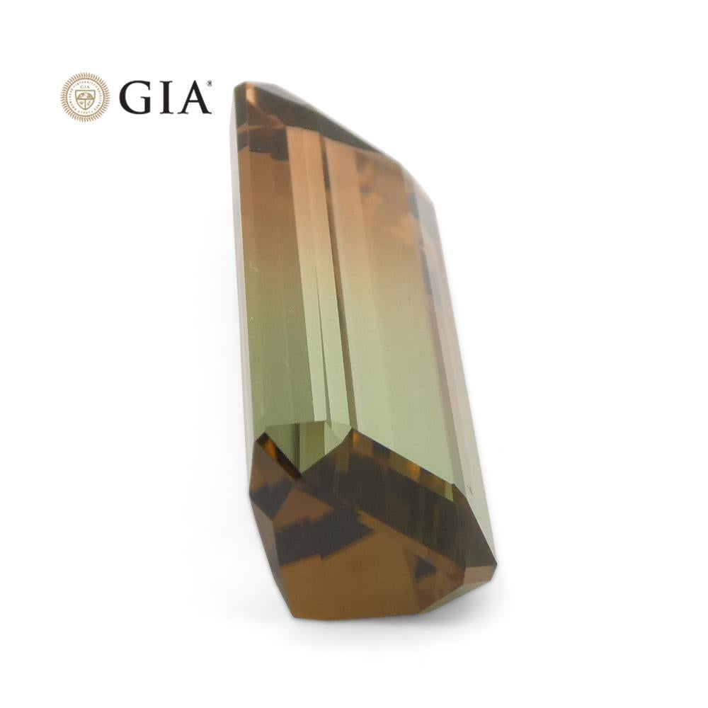 30,21ct Achteck-/Smaragdschliff Rosa und bläulich-grüner Turmalin GIA zertifiziert 10