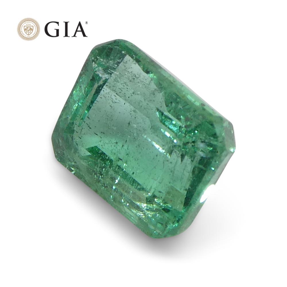 3.06ct Octagonal/Emerald Cut Green Emerald GIA Certified (F2)  For Sale 6