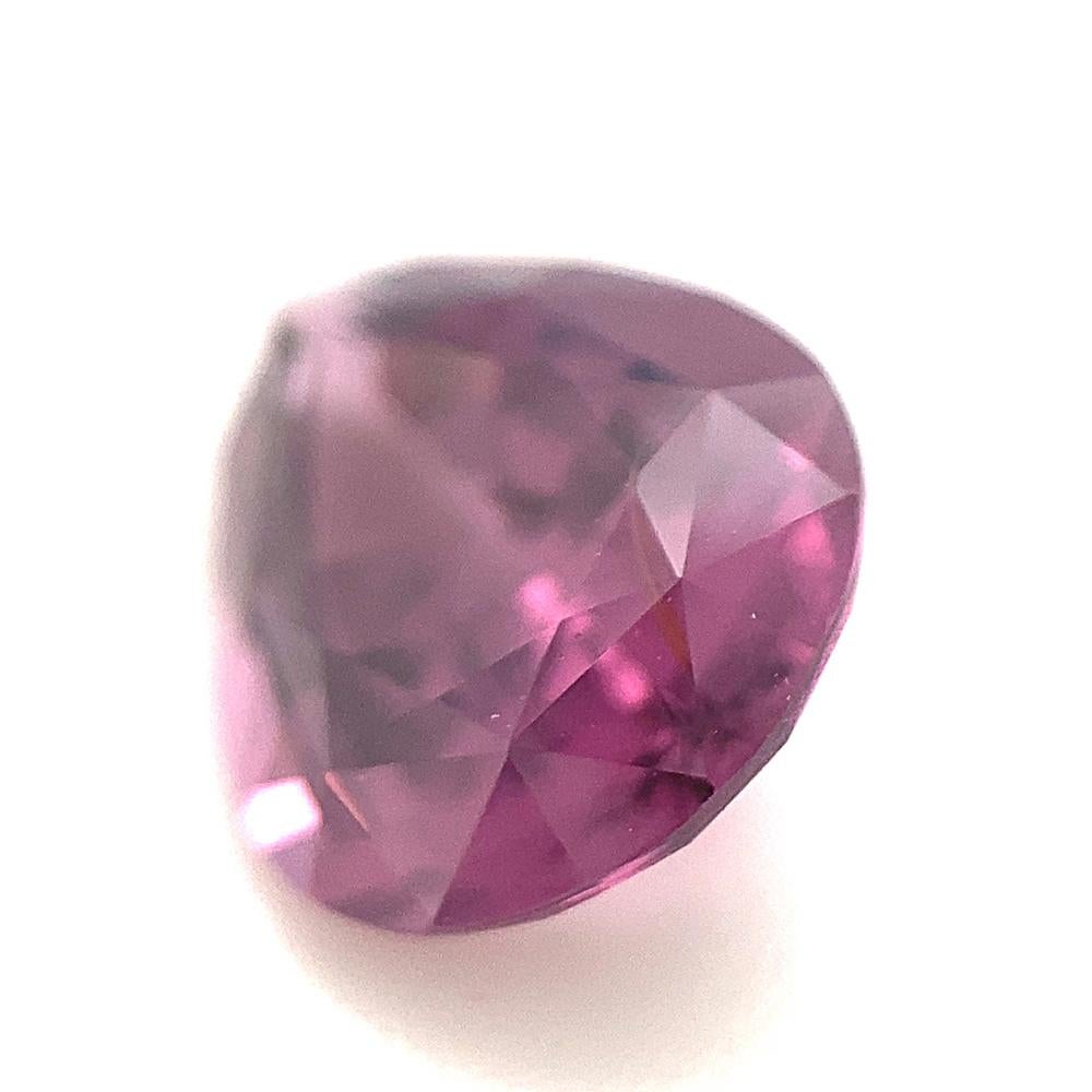 spinello rosa prezzo