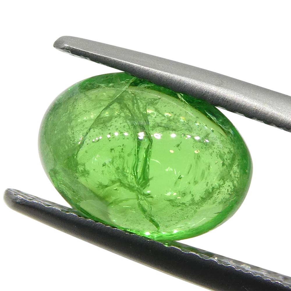 3.08ct Cabochon ovale de grenat tsavorite vert du Kenya, non chauffé en vente 5