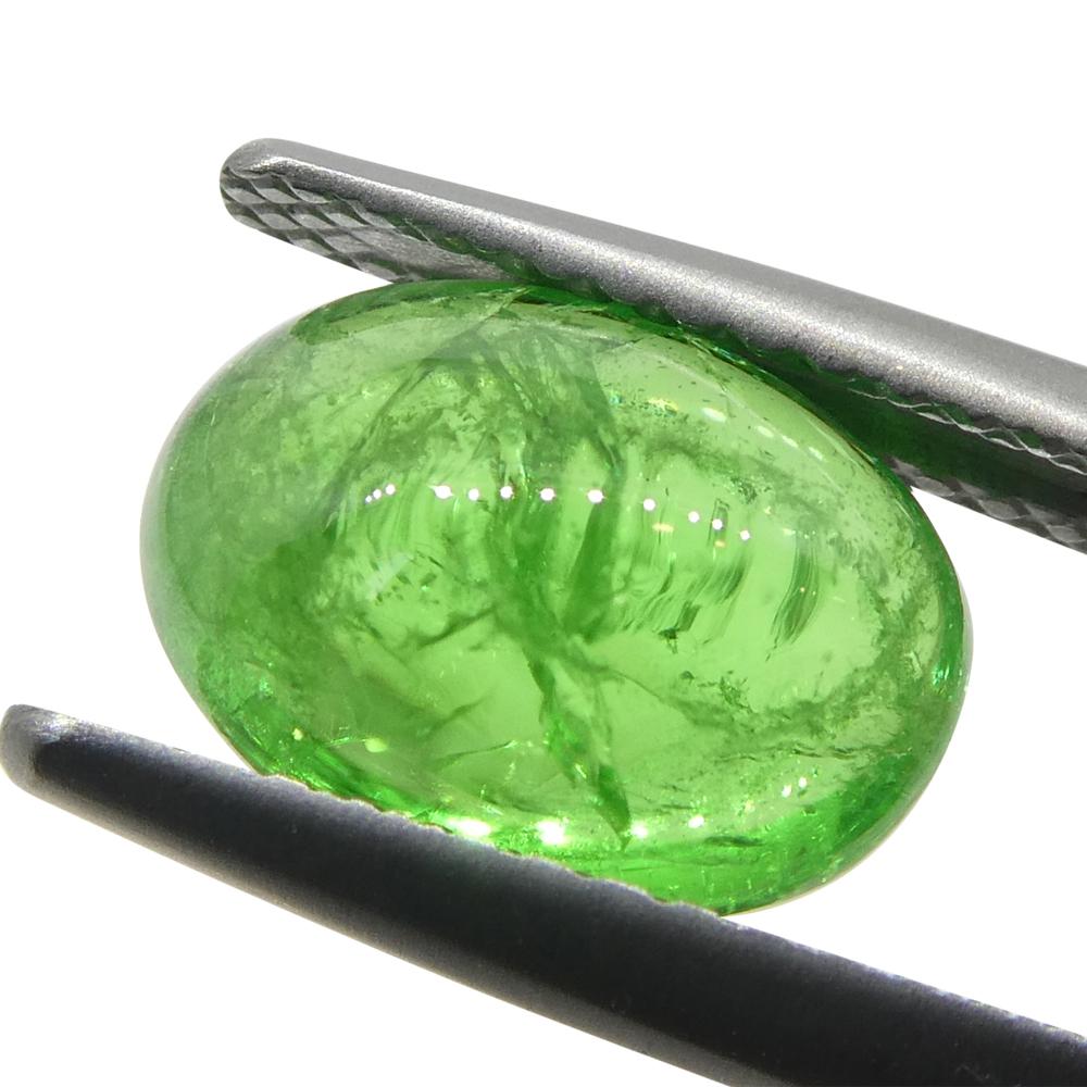 3.08ct Cabochon ovale de grenat tsavorite vert du Kenya, non chauffé Neuf - En vente à Toronto, Ontario