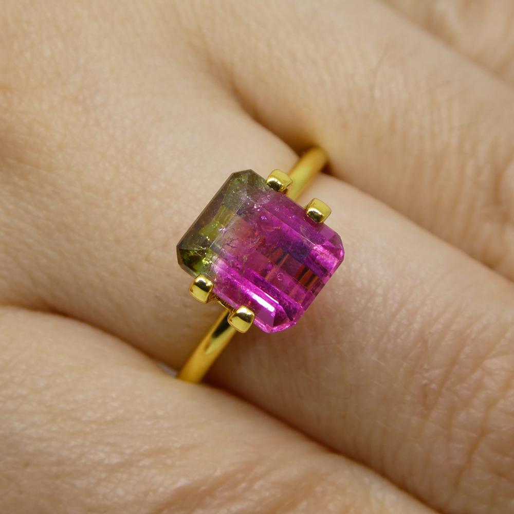 Description:

Gem Type: Bi-Colour Tourmaline
Number of Stones: 1
Weight: 3.09 cts
Measurements: 8.53 x 7.34 x 5.45 mm
Shape: Emerald Cut
Cutting Style Crown: Step Cut
Cutting Style Pavilion: Step Cut
Transparency: Transparent
Clarity: Moderately