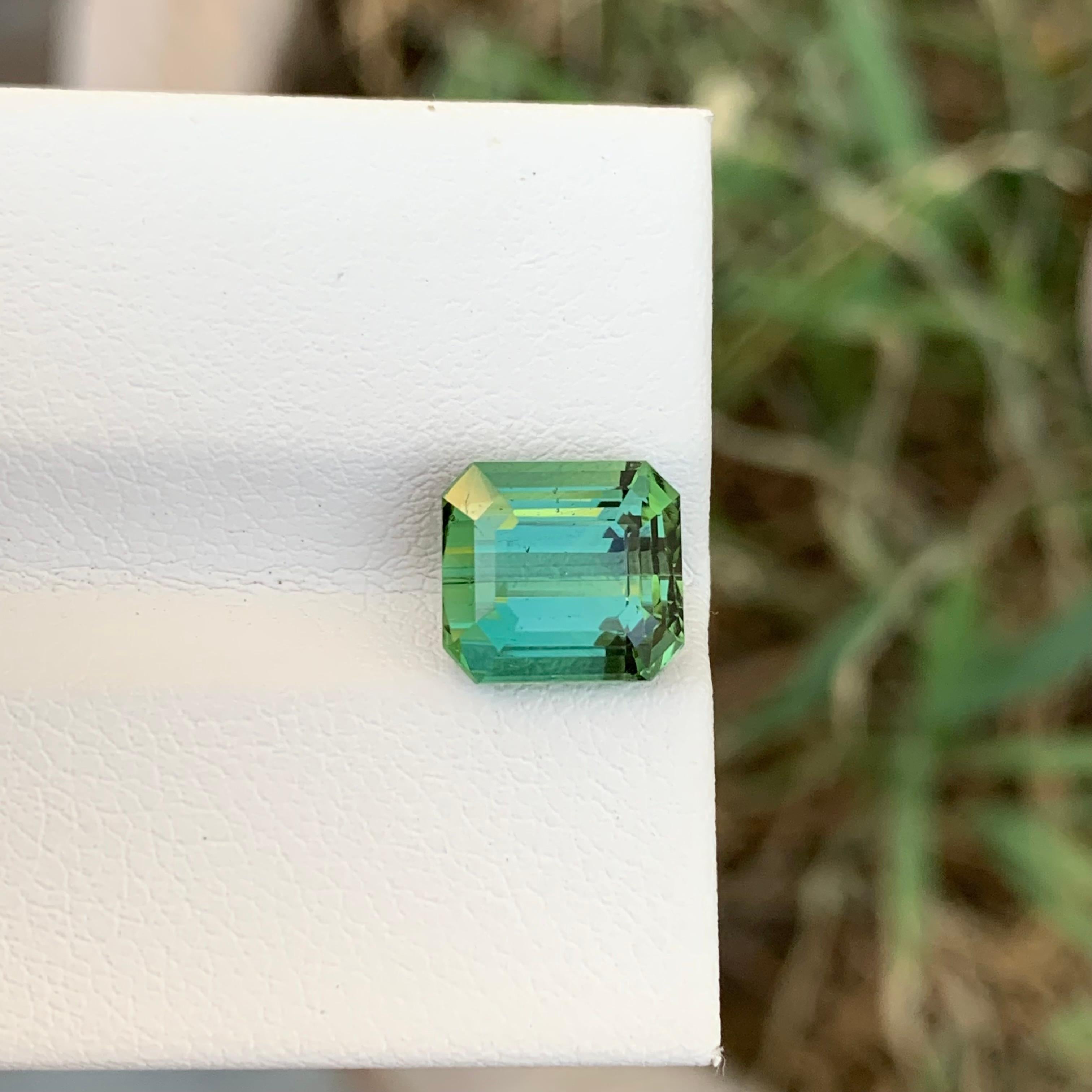 3,10 Karat natürlicher loser grüner Turmalin in Smaragdform für Anhänger (Arts and Crafts) im Angebot