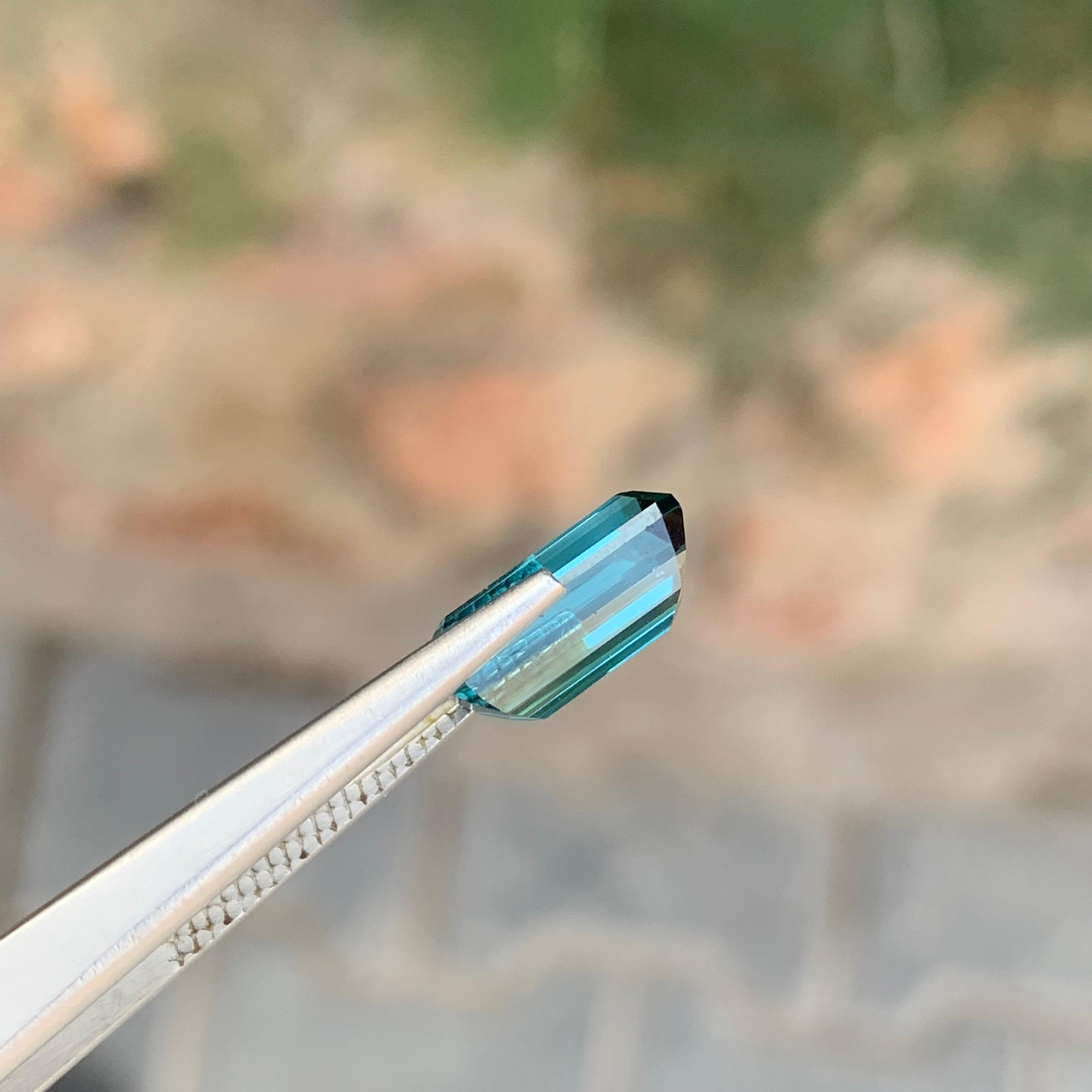 3.10 Karat Natürlicher loser Indicolith Turmalin Smaragd Form Edelstein im Angebot 3