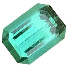 3.10 Carat Natural Loose Bright Green Tourmaline Emerald Shape (Tourmaline verte brillante en forme d'émeraude)