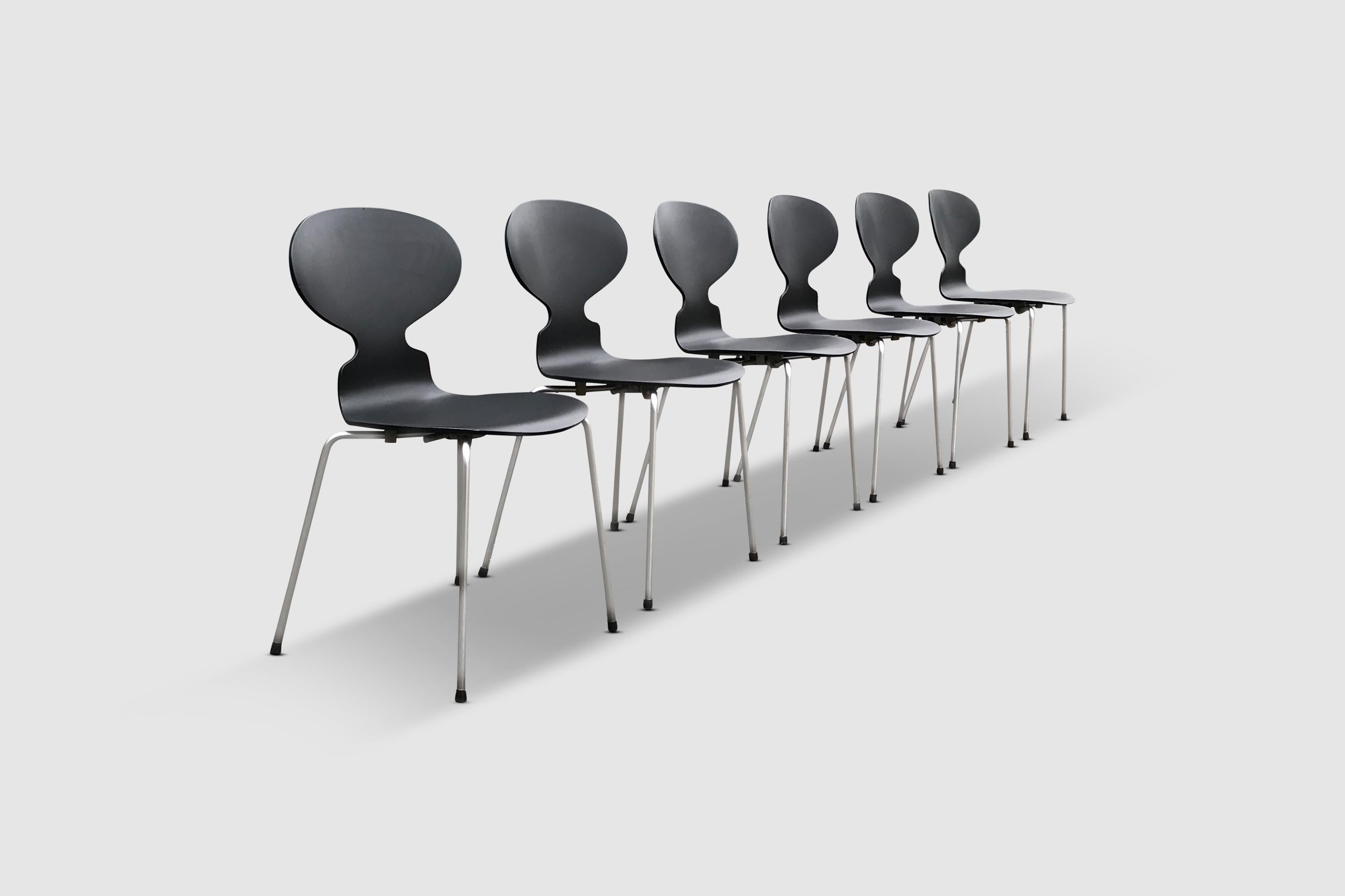 Mid-Century Modern 3100 Ant dining chairs by Arne Jacobsen for Fritz Hansen 1960s, set of 6