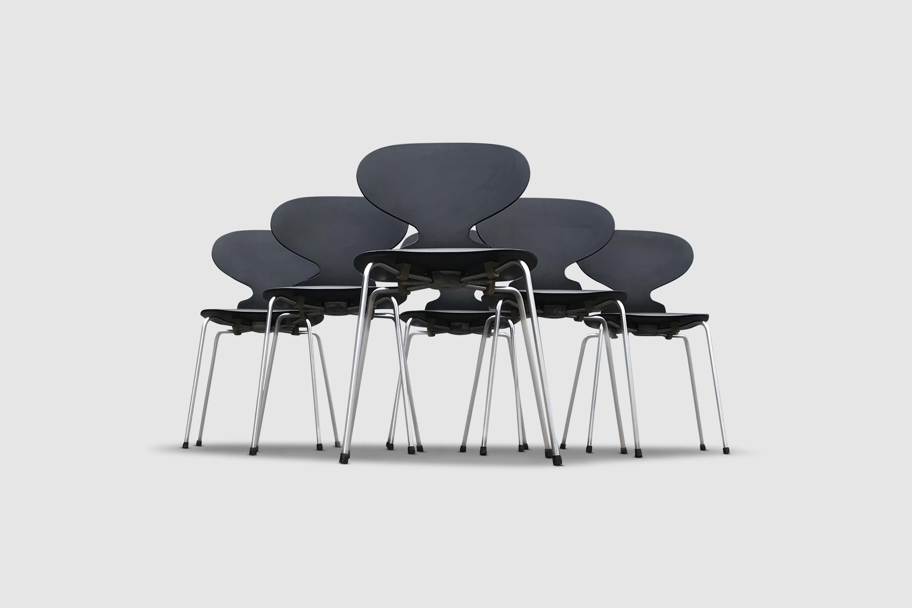 Chaises de salle à manger 3100 Ant d'Arne Jacobsen pour Fritz Hansen des années 1960, ensemble de 6 pièces en vente 1