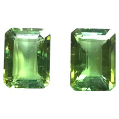 31.14 Carats Green Tourmaline Octagon Cut stone Top Quality Natural Gemstone (Tourmaline verte, taille octogonale)