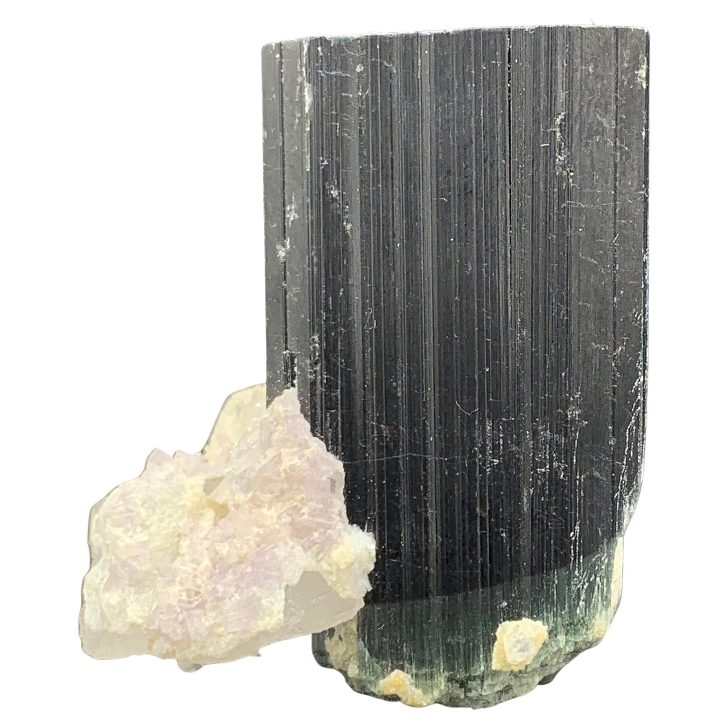 312.05 Karat Wunderschönes schwarzes Turmalin-Lepidolite-Exemplar aus Afghanistan 