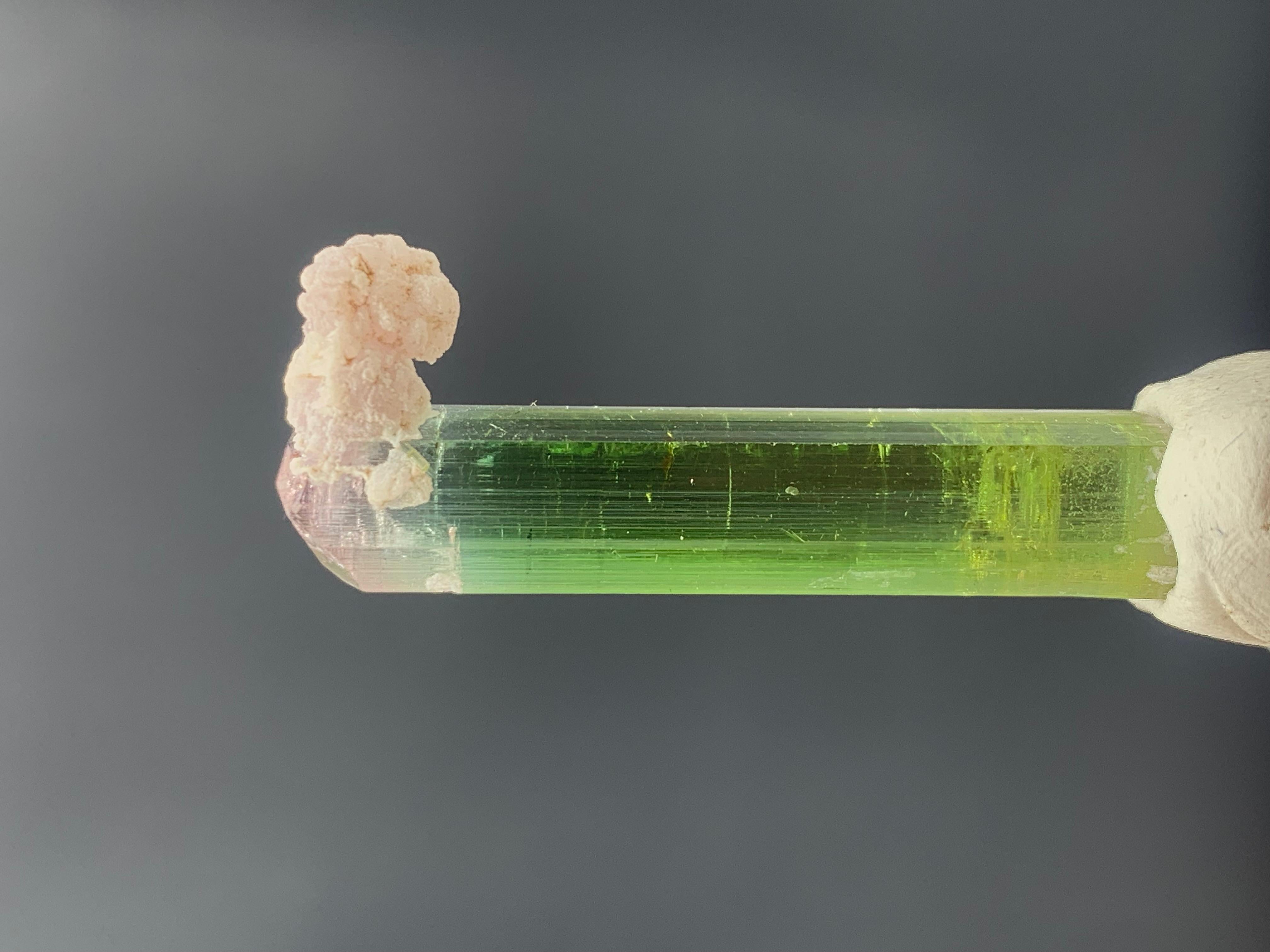 31.25 Carat Lovely Bi Color Tourmaline Crystal from Nuristan, Afghanistan For Sale 3