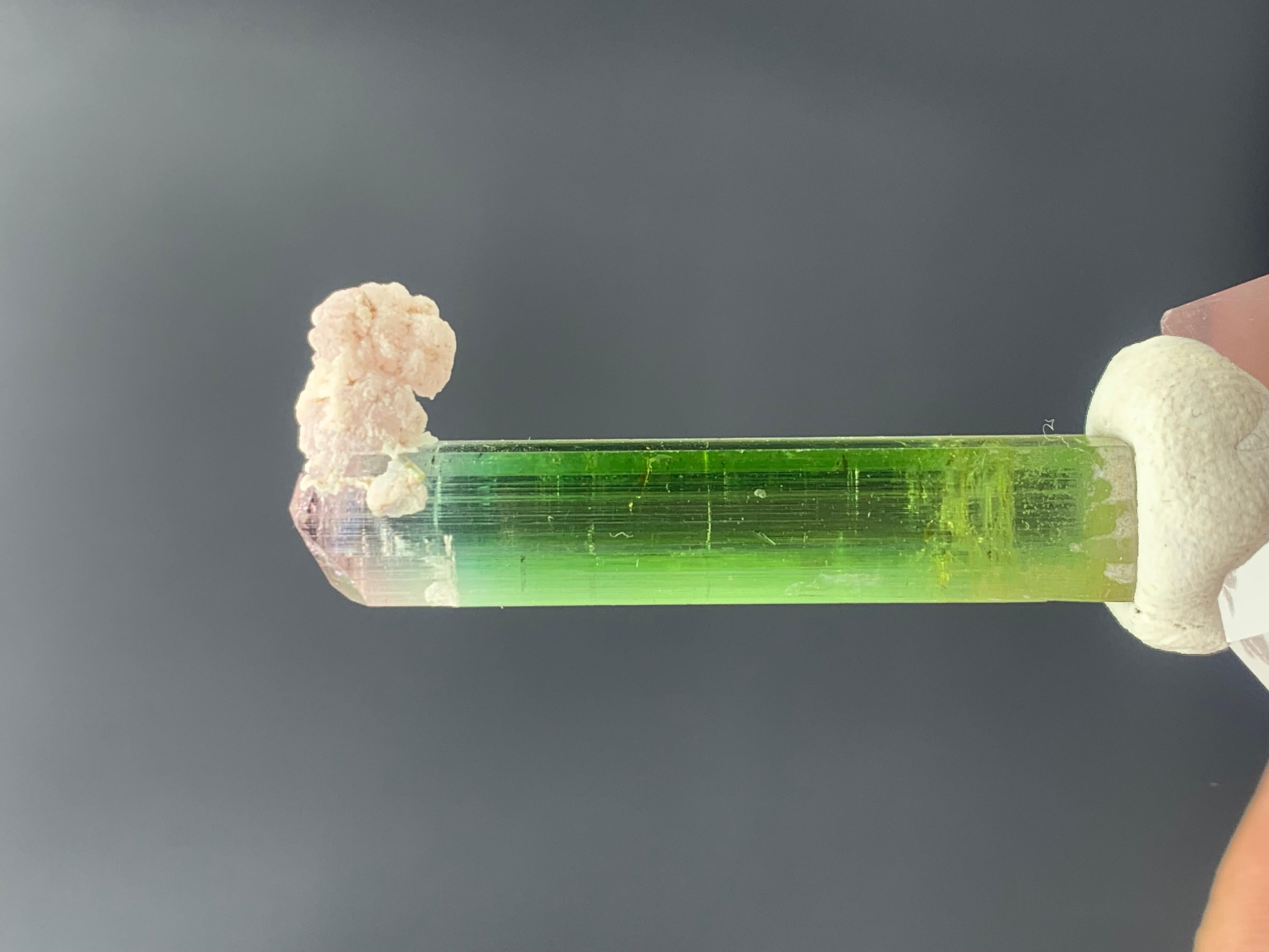 Lovely Bi Color Tourmaline Crystal From Nuristan, Afghanistan
WEIGHT: 31.25 Carat
DIMENSIONS: 4.1 x 0.8 x 0.8 Cm
ORIGIN: Nuristan, Afghanistan
TREATMENT: None

Tourmaline is an extremely popular gemstone; the name Tourmaline is derived from