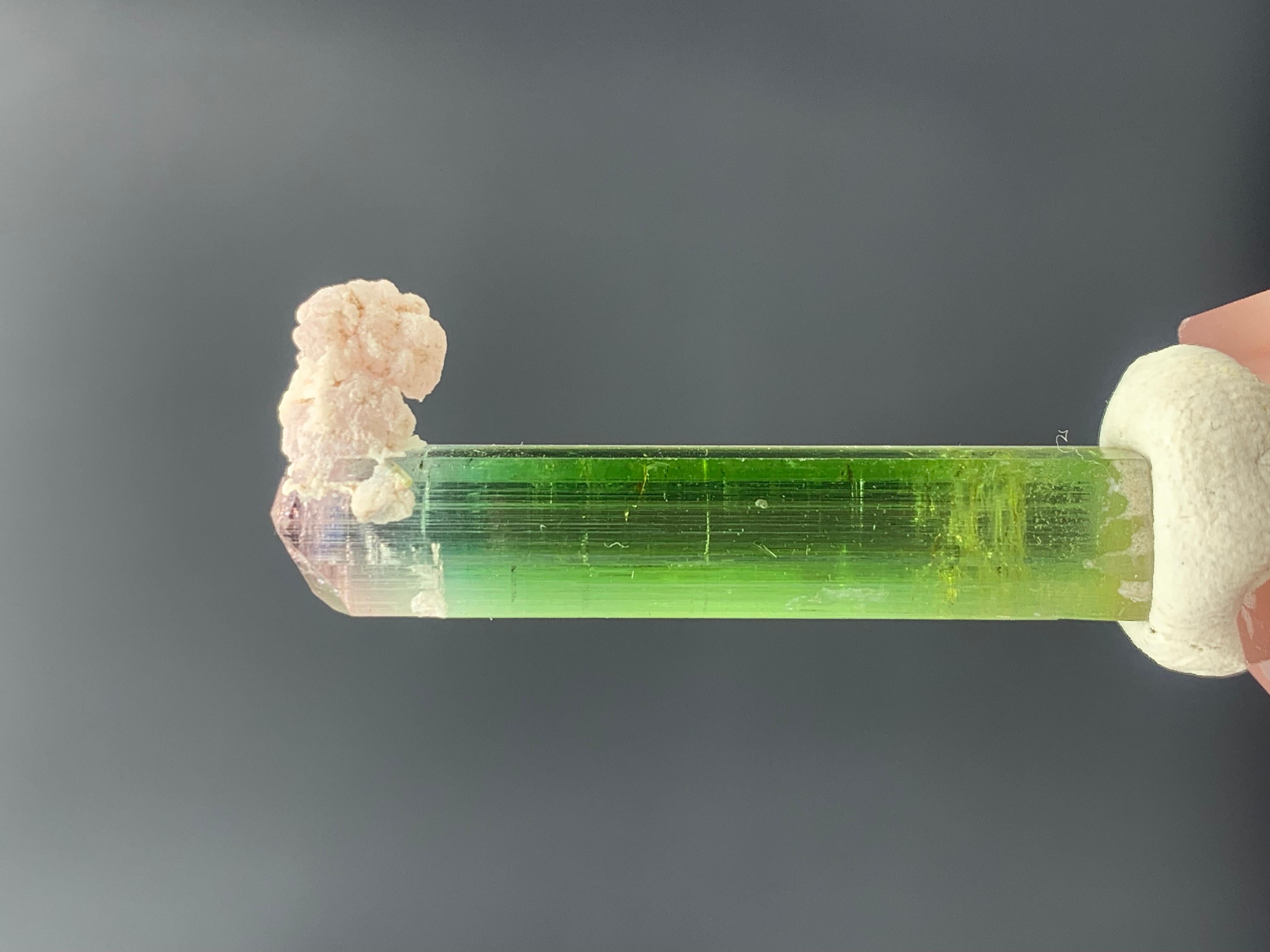 Adam Style 31.25 Carat Lovely Bi Color Tourmaline Crystal from Nuristan, Afghanistan For Sale