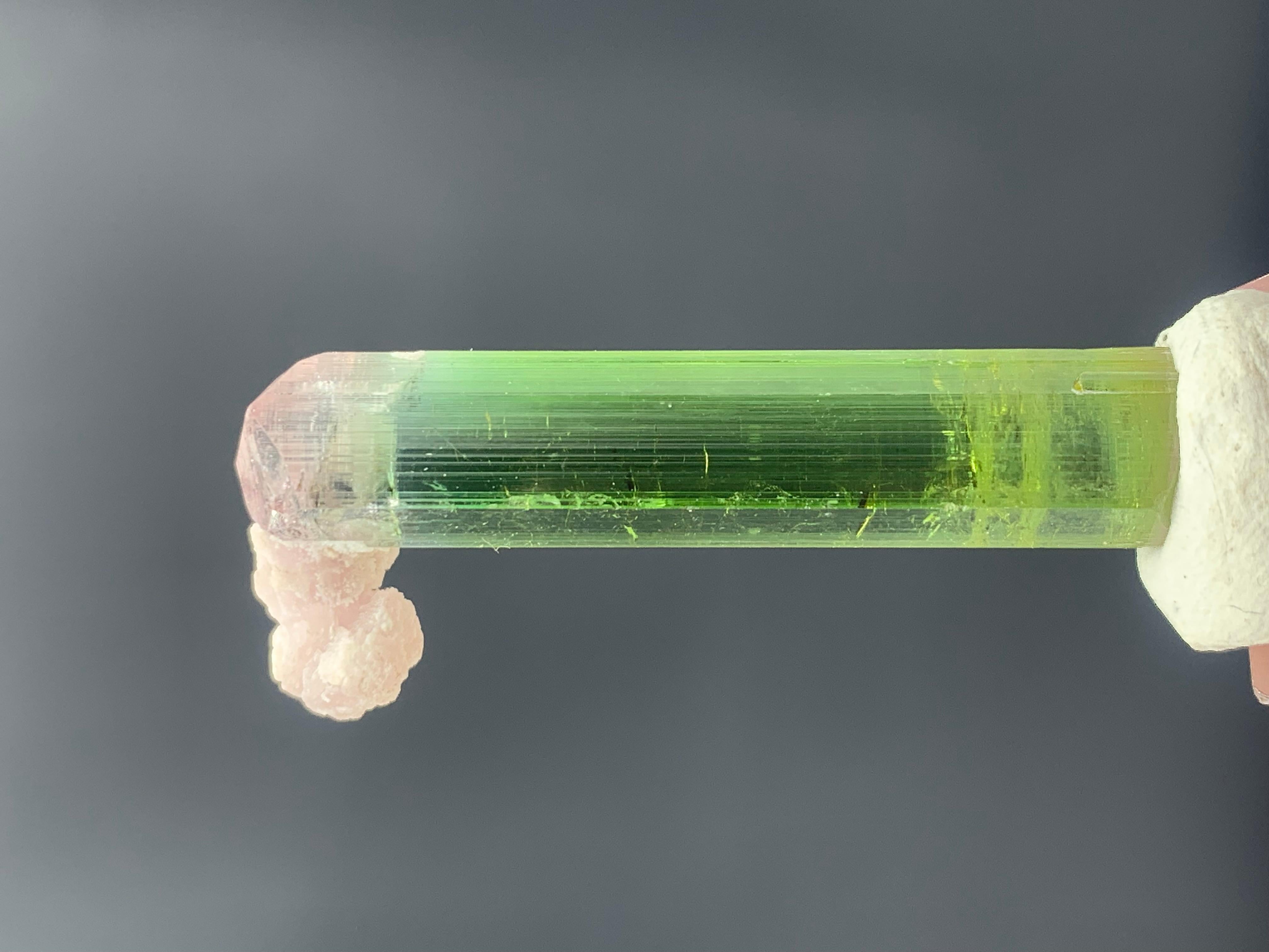 18th Century and Earlier 31.25 Carat Lovely Bi Color Tourmaline Crystal from Nuristan, Afghanistan For Sale