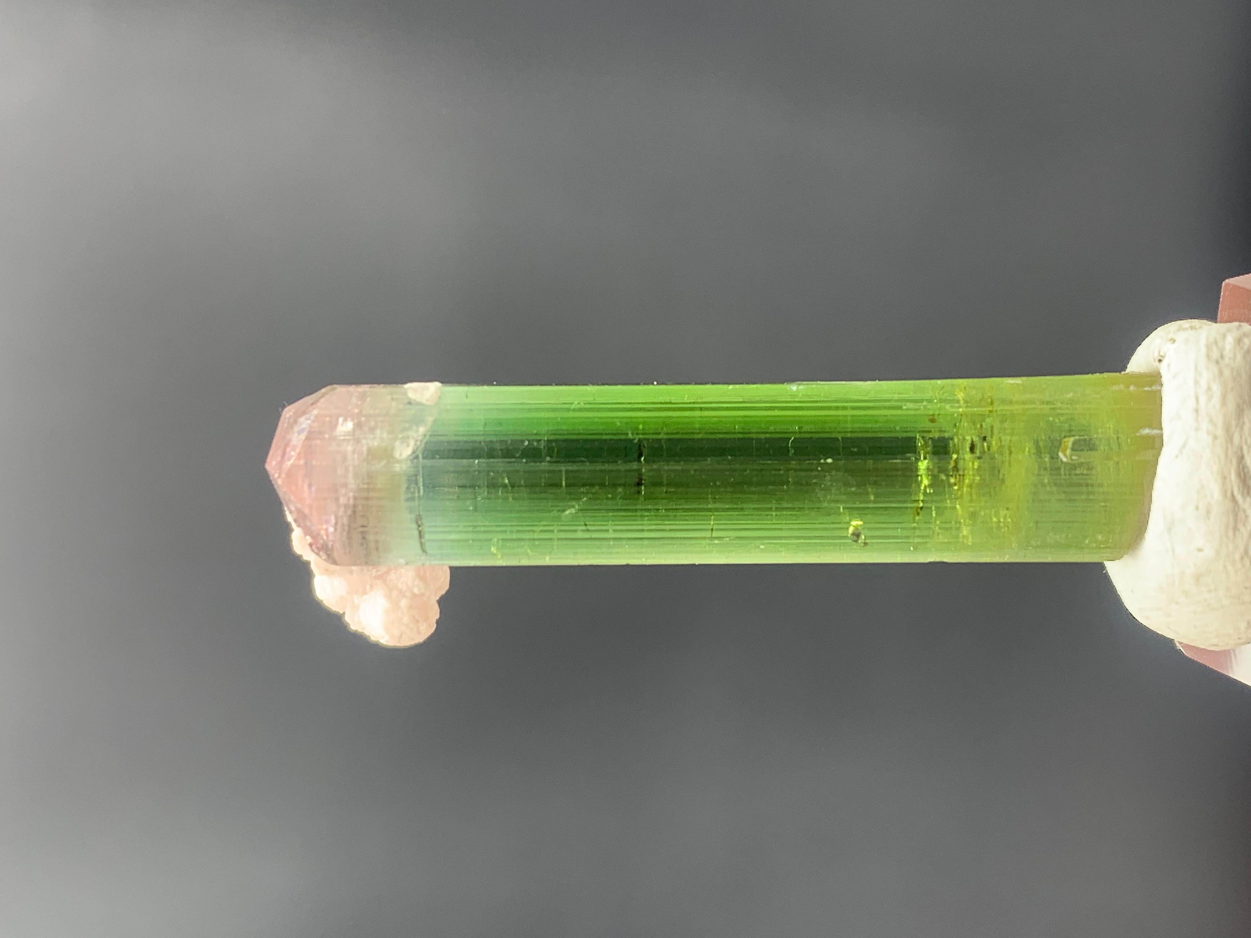 31.25 Carat Lovely Bi Color Tourmaline Crystal from Nuristan, Afghanistan For Sale 1