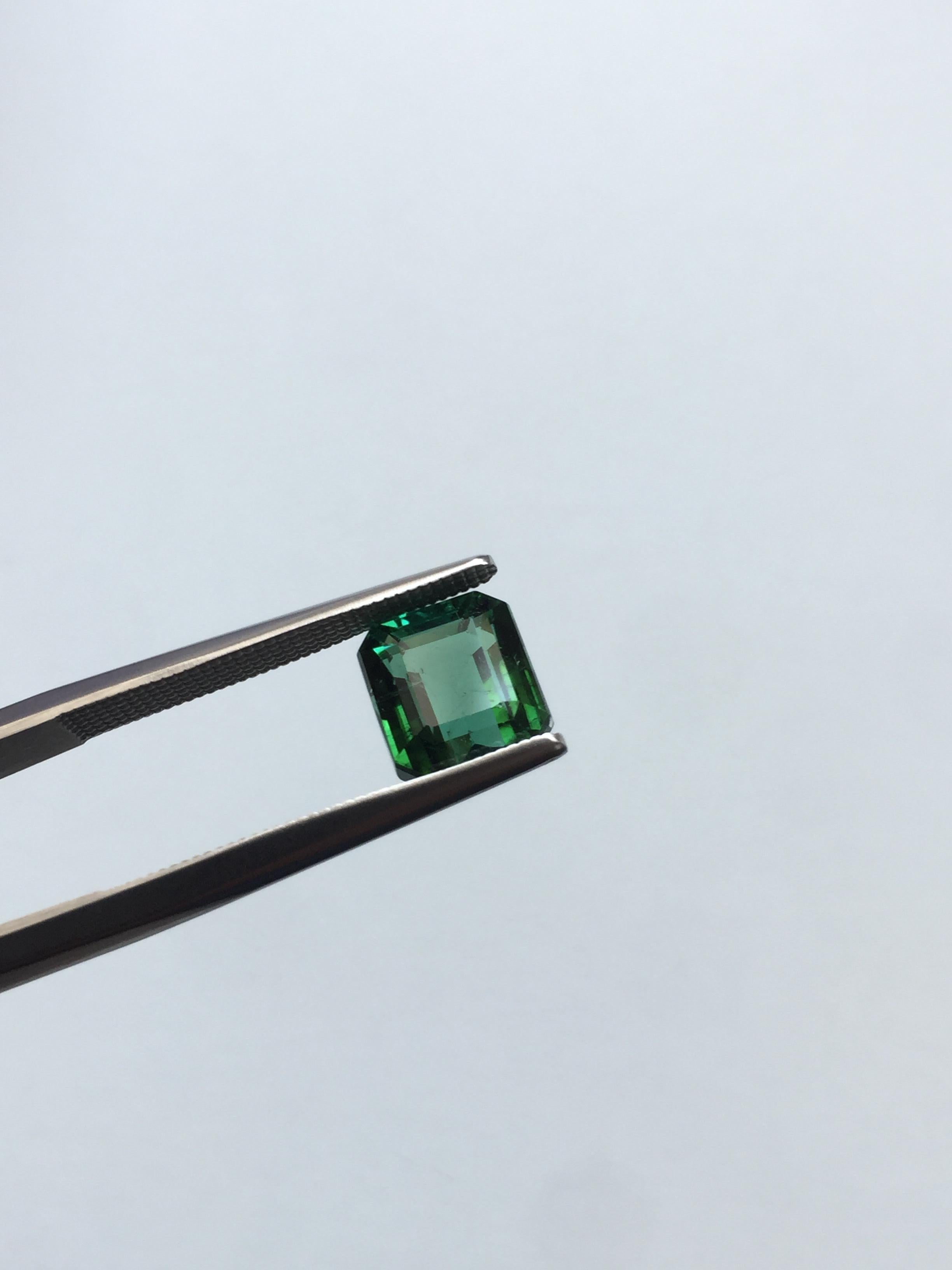 This high-quality tourmaline, this gemstone boasts a stunning green hue that is perfect for your fine jewelry collection. The natural beauty of the green tourmaline is truly remarkable, with its rich color and clarity which is loose clean.

We hope