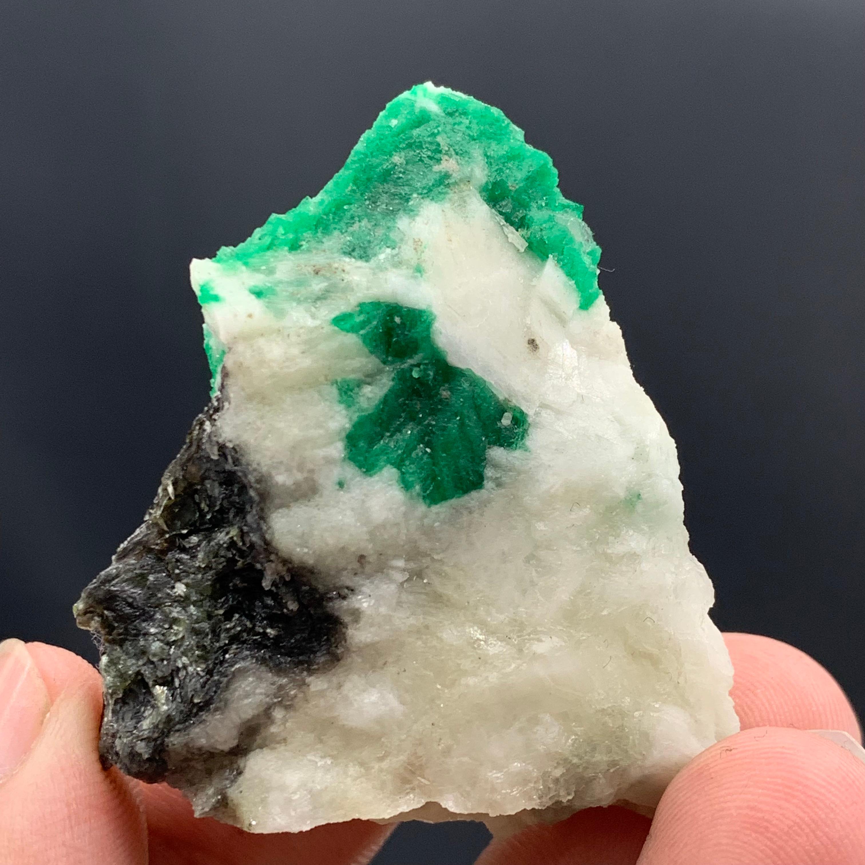 31.37 Gram Incredible Emerald Specimen From Swat Valley, Pakistan  For Sale 4