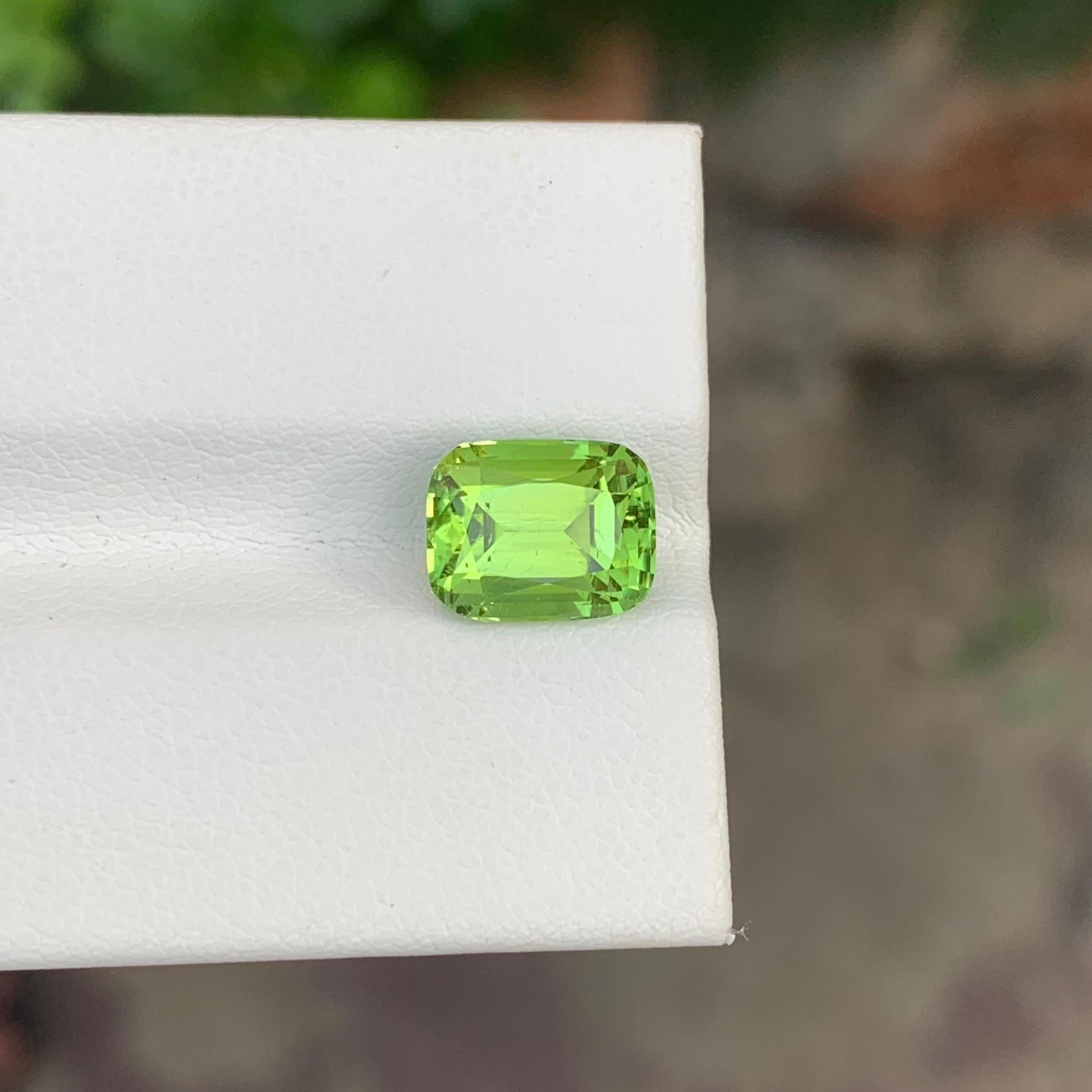 Tourmaline verte en vrac

Poids : 3,15 carats
Dimension : 9,2 x 7,3 x 6 mm 
Couleur : Vert
Origine : Afghanistan
Certificat : Sur demande
Traitement : Non
Forme : Coussin


La tourmaline est une pierre précieuse captivante connue pour sa remarquable