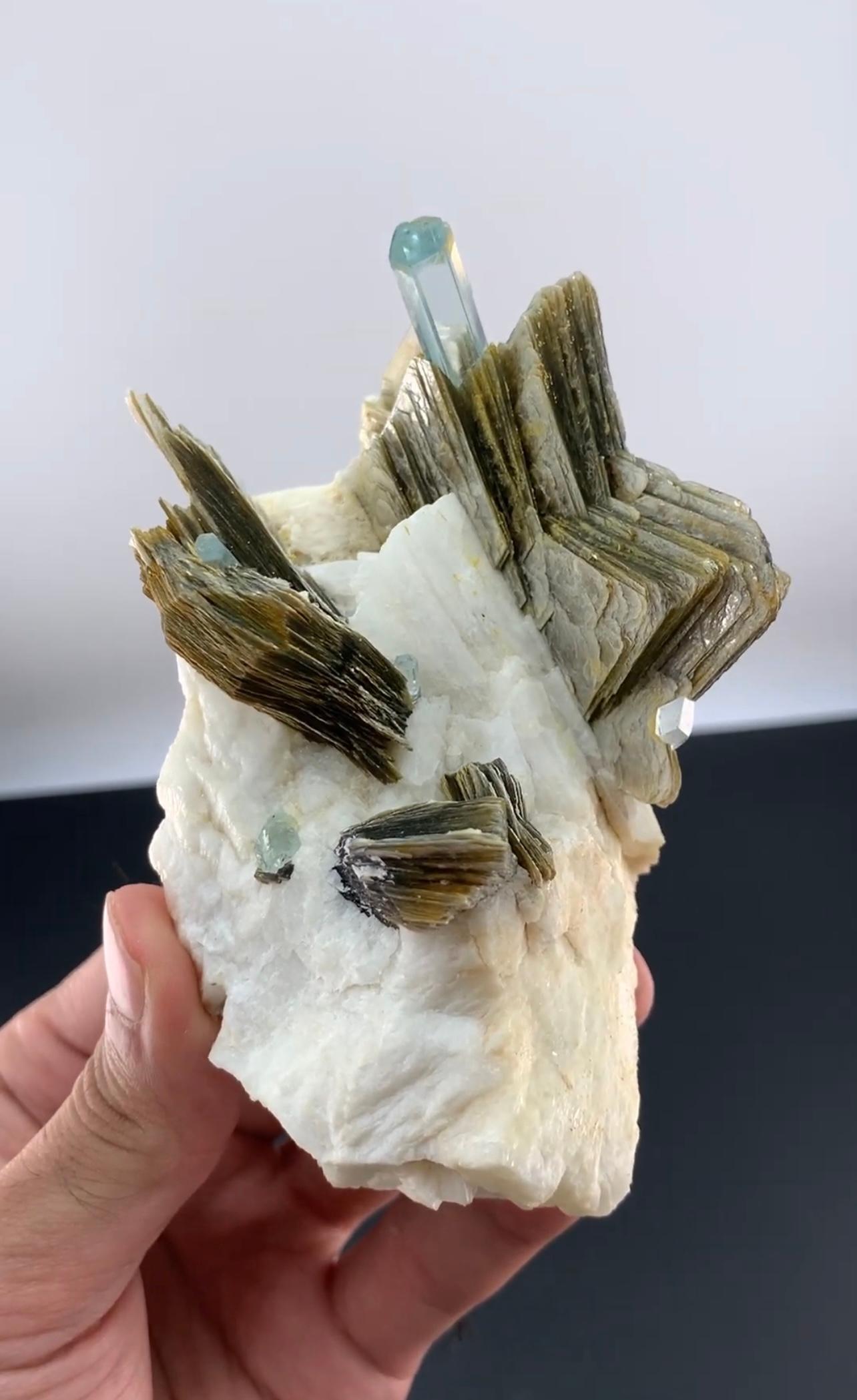 Informationen zum Produkt:

Name der Probe: Aquamarin auf Muskovit

Gewicht: 315 Gramm

Abmessungen: H: 7 x B: 11 x T: 6 cm

Behandlung: Keine

Herkunft: Shigar-Tal, Bezirk Skardu, Provinz Gilgit Baltistan, Pakistan

Beschreibung: 

Diese auffällige