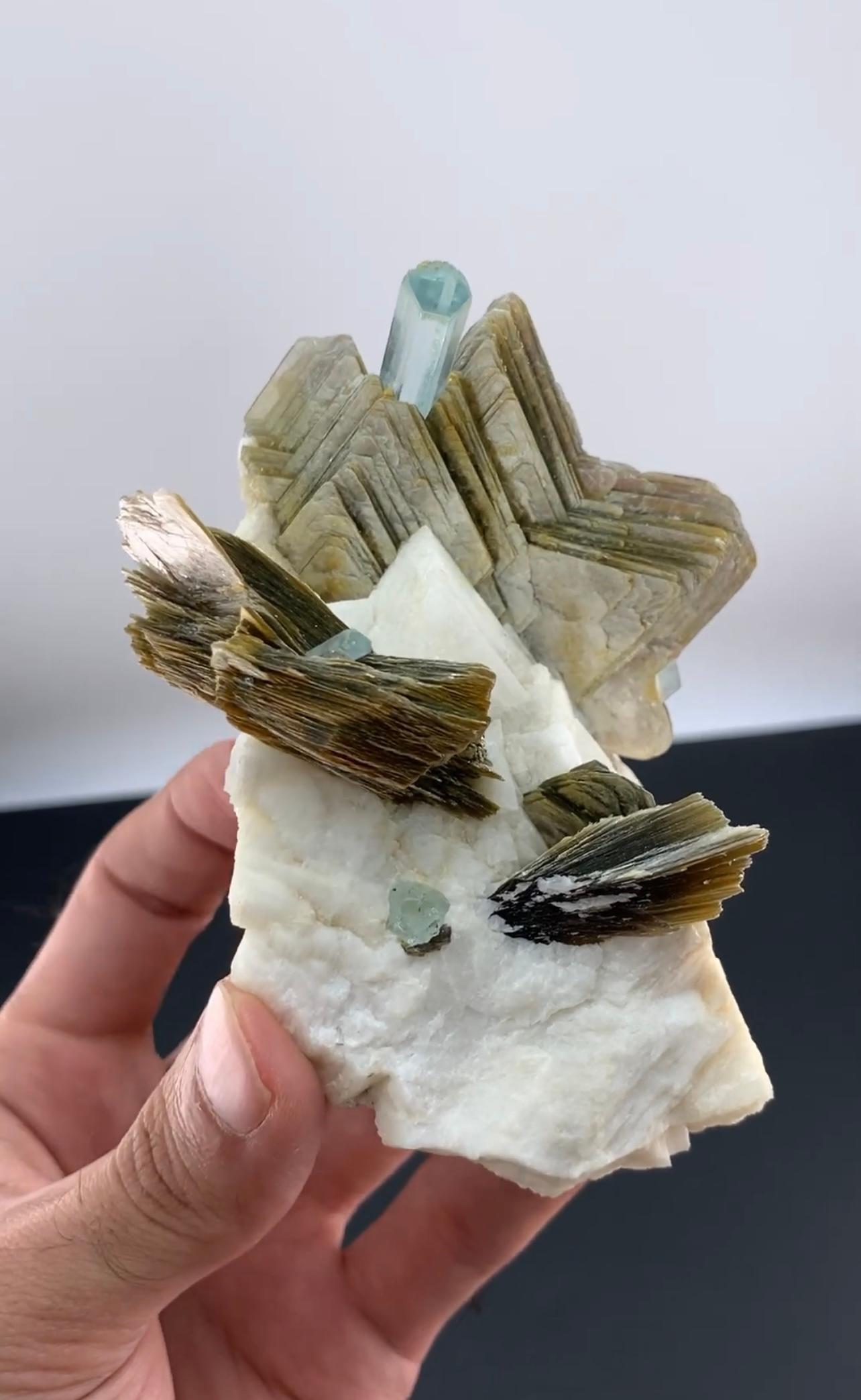 315 Gramm Blauer Aquamarin-Kristall auf sternförmigem Muscovite aus Pakistan (Afghanisch) im Angebot