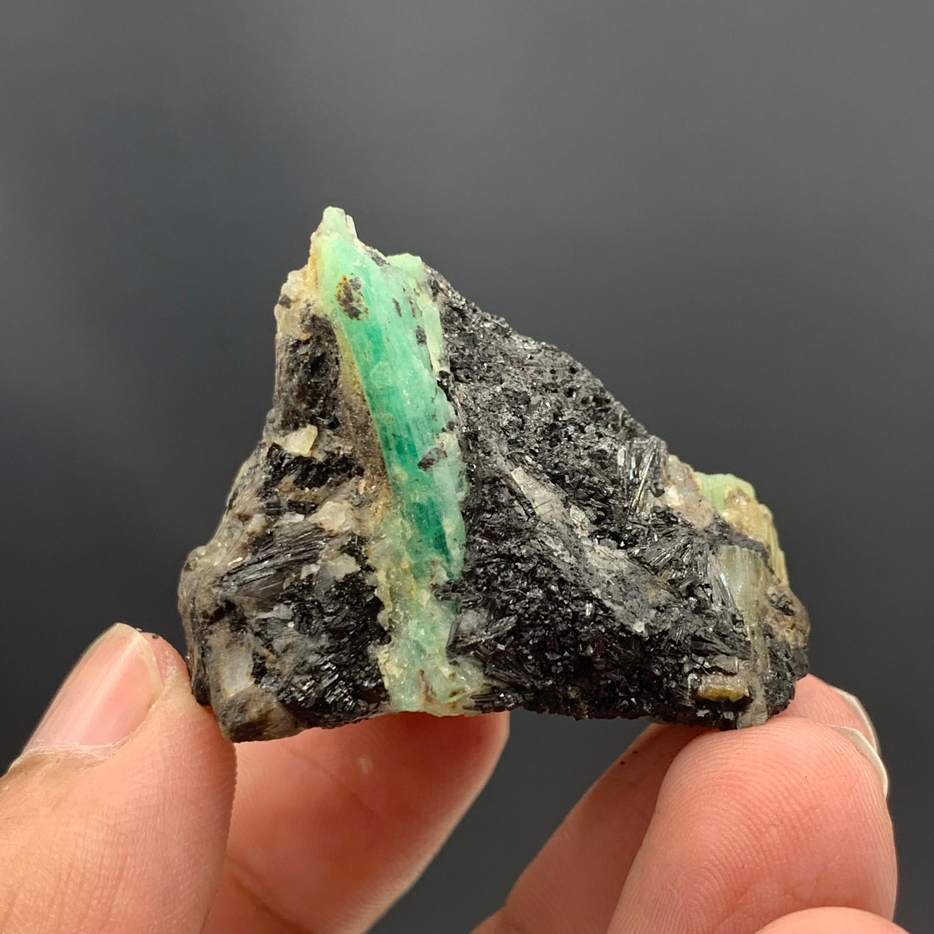 31.50 Gram Gorgeous Emerald Specimen From Chitral, Pakistan  For Sale 1