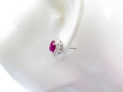 Platinum 3.17 Carat Unheated Oval Ruby Diamond Cluster Stud Earrings