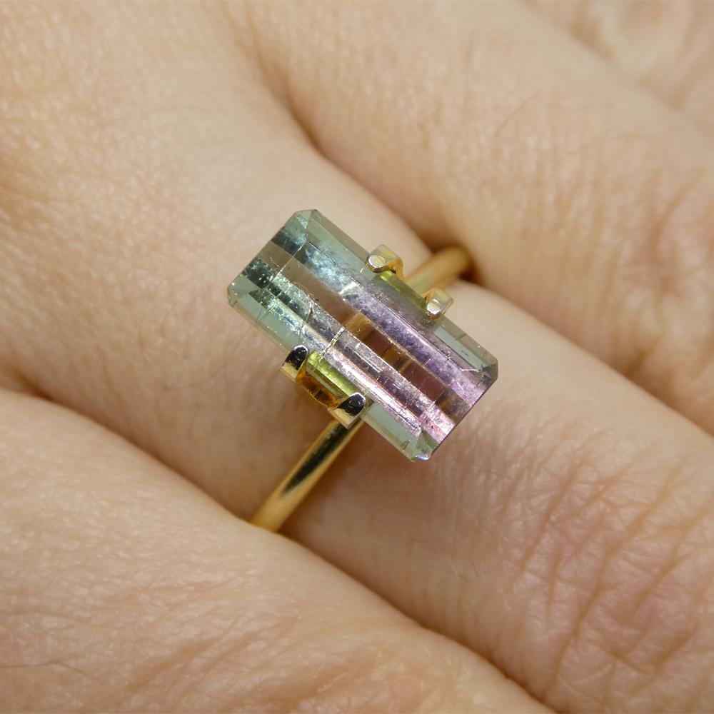 Description:

Gem Type: Bi-Colour Tourmaline
Number of Stones: 1
Weight: 3.19 cts
Measurements: 11.74 x 5.98 x 4.94 mm
Shape: Emerald Cut
Cutting Style Crown: Step Cut
Cutting Style Pavilion: Step Cut
Transparency: Transparent
Clarity: Slightly