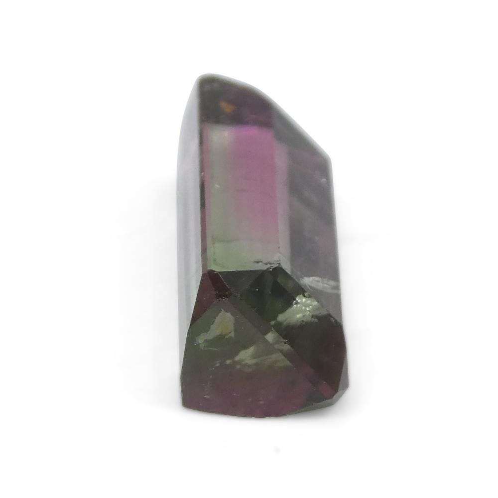 Tourmaline bicolore rose et verte taille émeraude de 3.19 carats du Brésil en vente 4