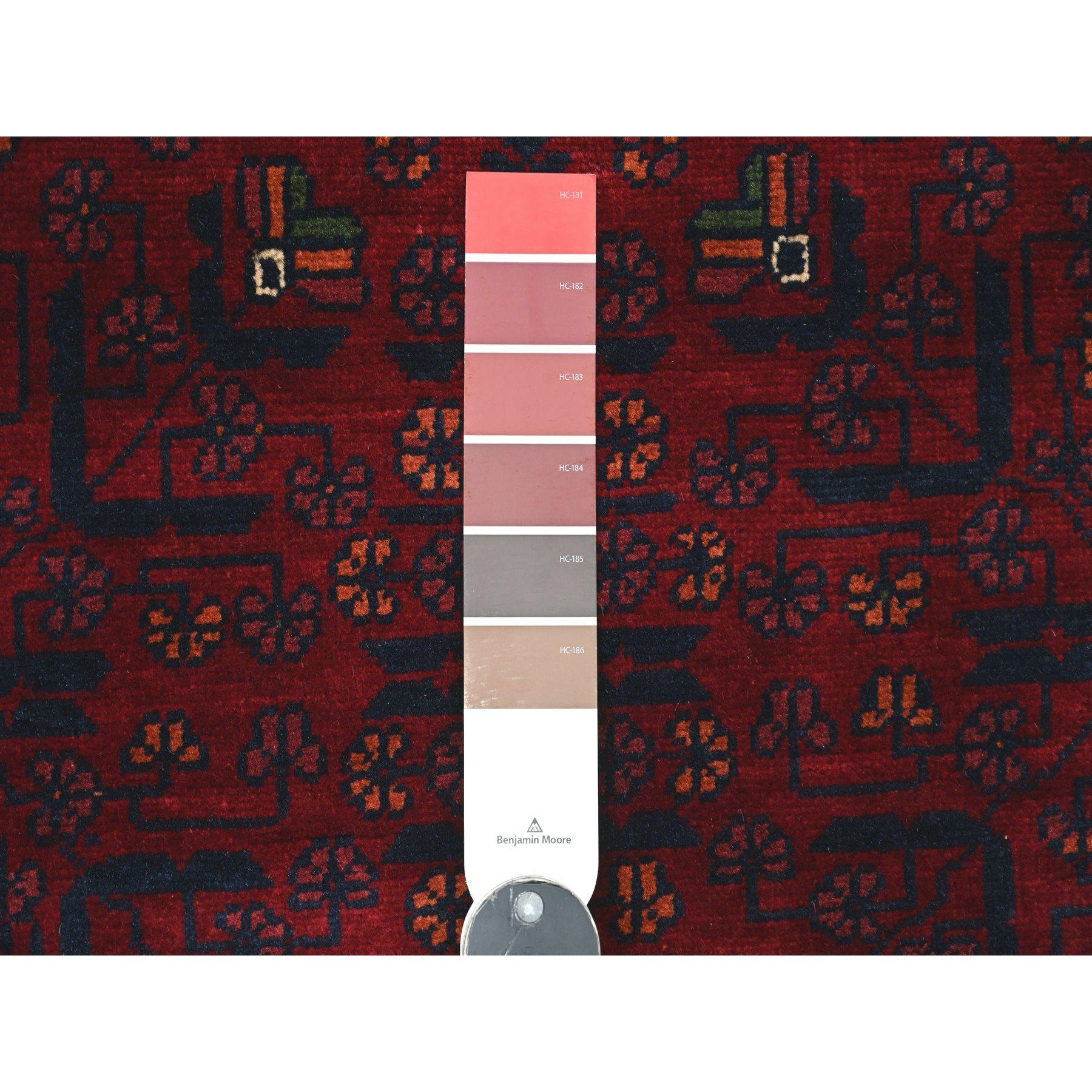 Tribal 3'1