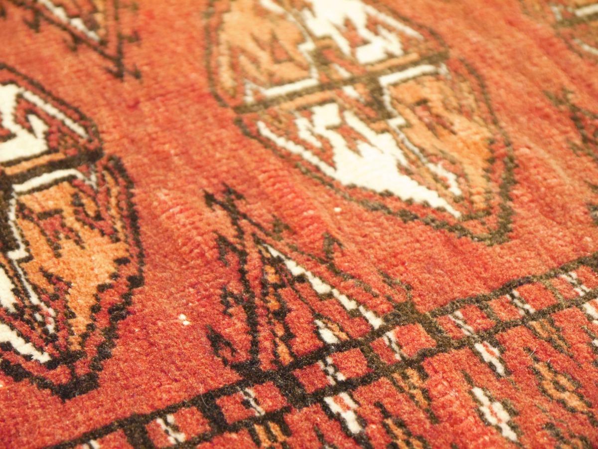 Hand-Knotted 3'1