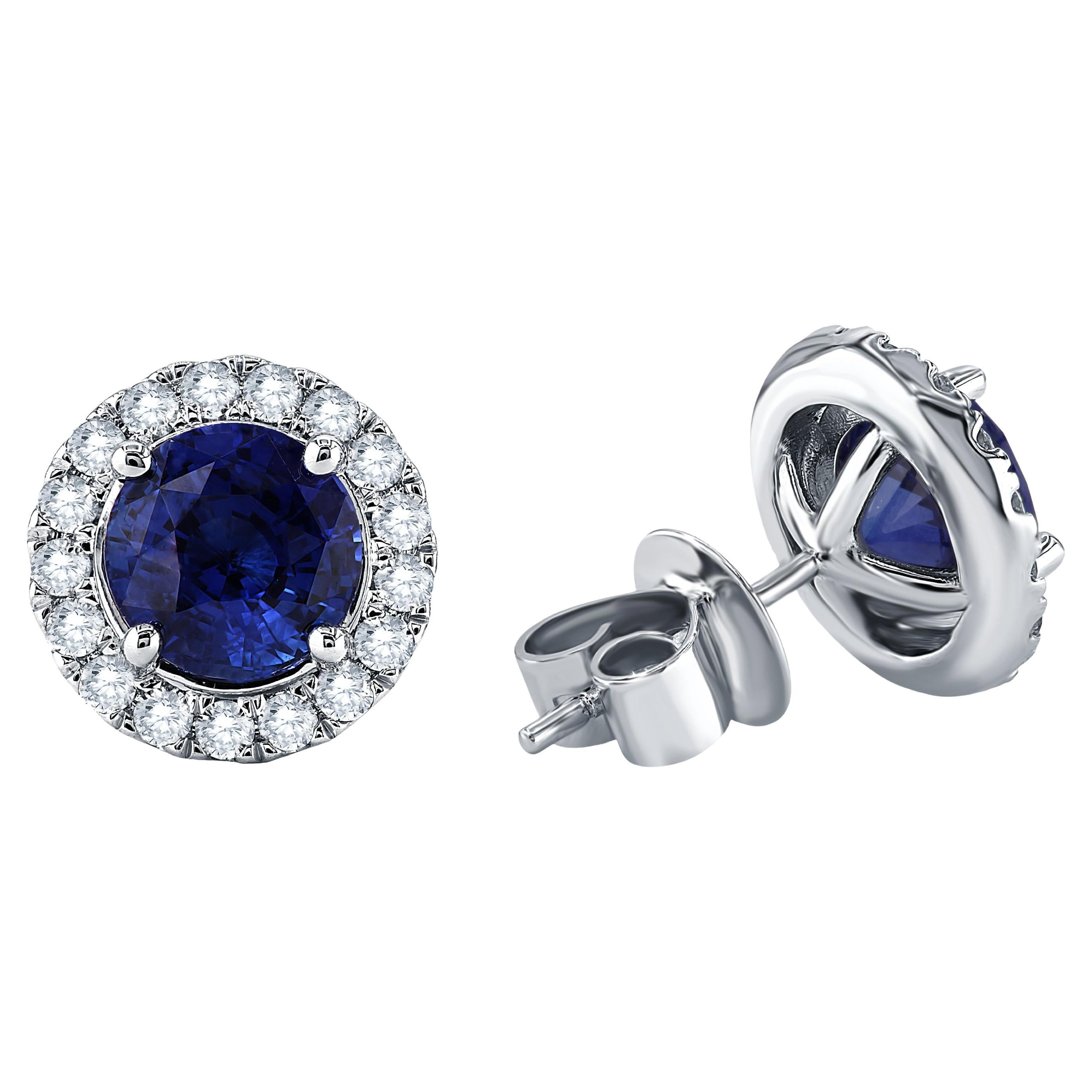3.2 Ct Vivid Blue Sapphire Stud Earrings in Diamond Halo set in 18W ref26-7