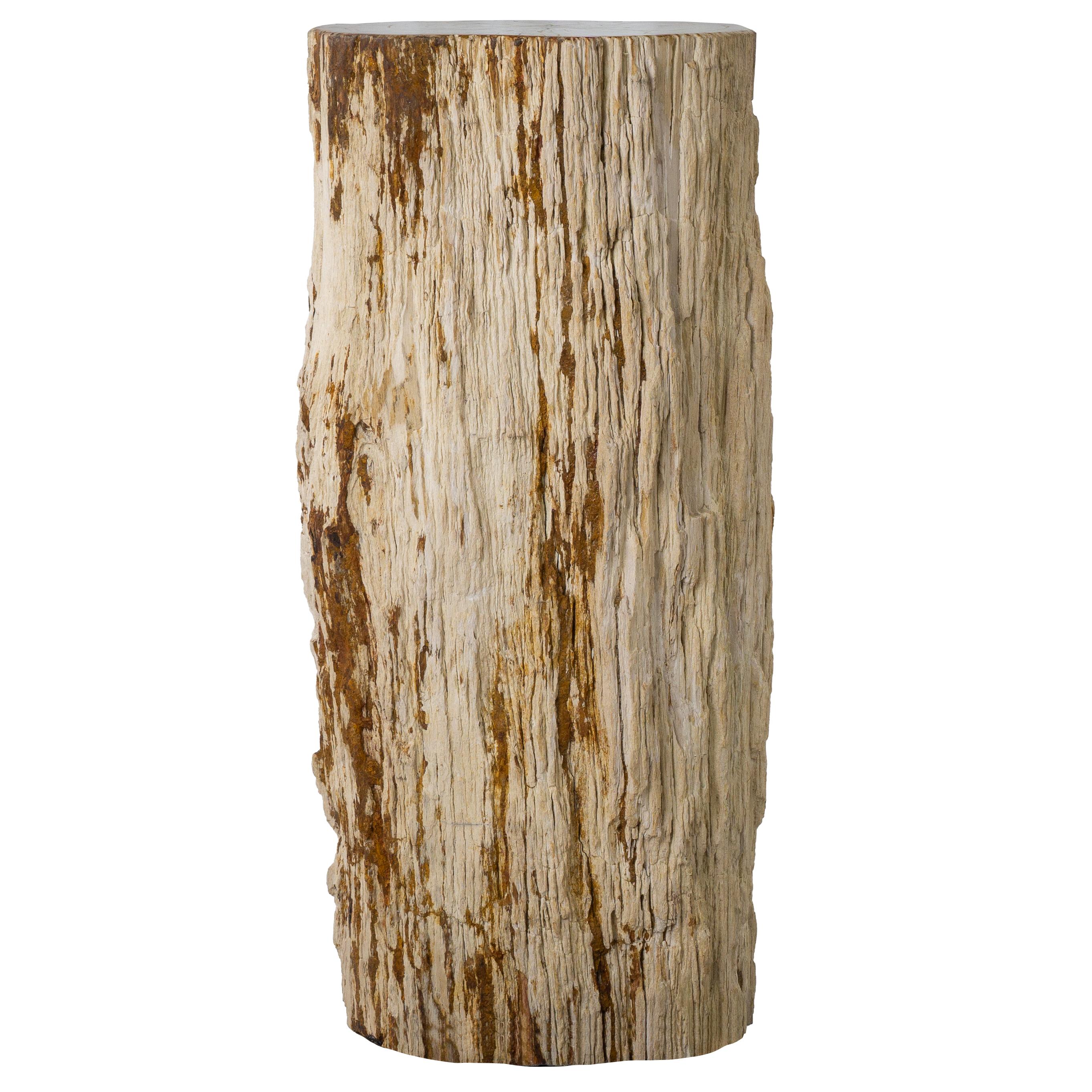 Organic Modern 32-Inch Petrified Wood Stone Pillar - Petrified Wood Pedestal With Bark