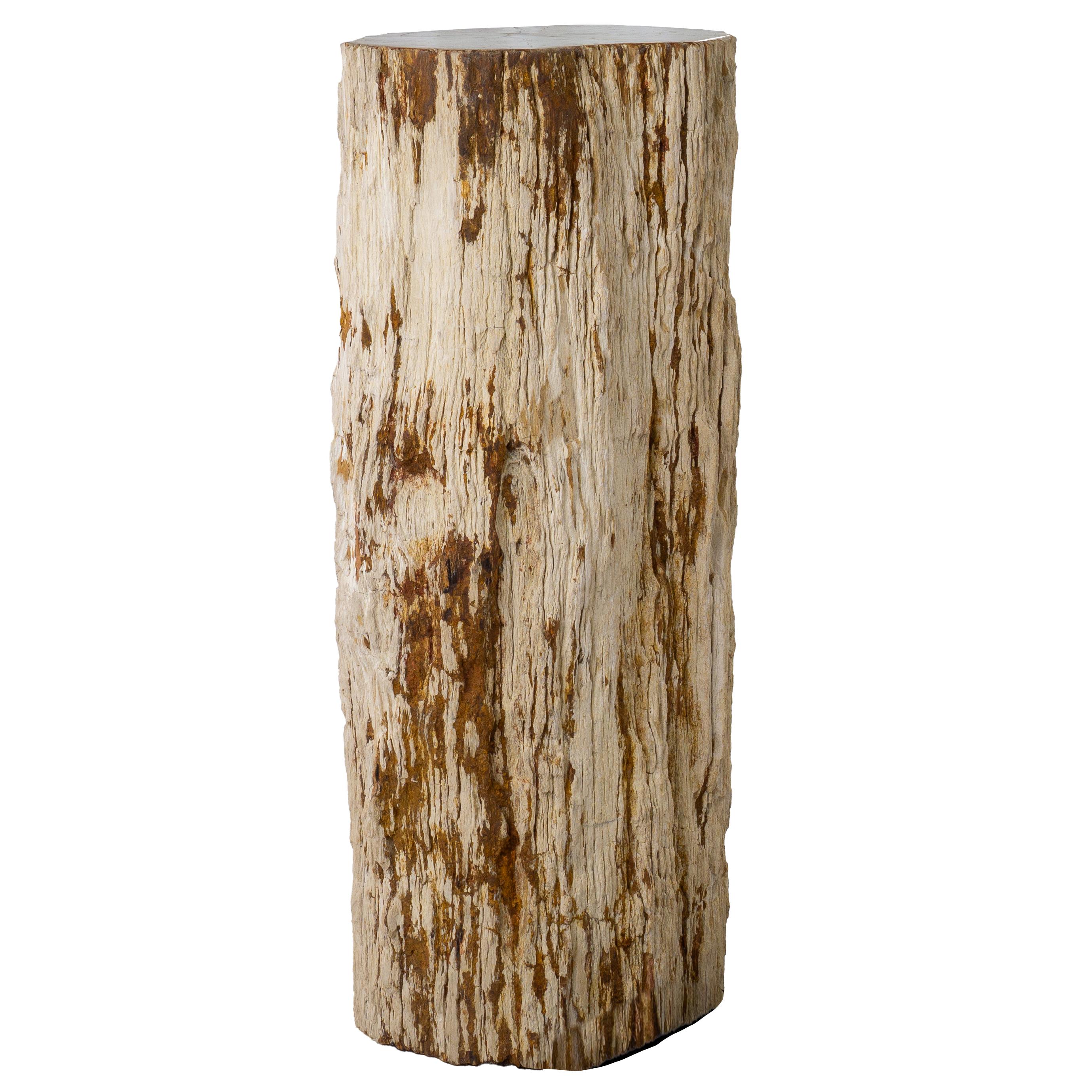 Polished 32-Inch Petrified Wood Stone Pillar - Petrified Wood Pedestal With Bark