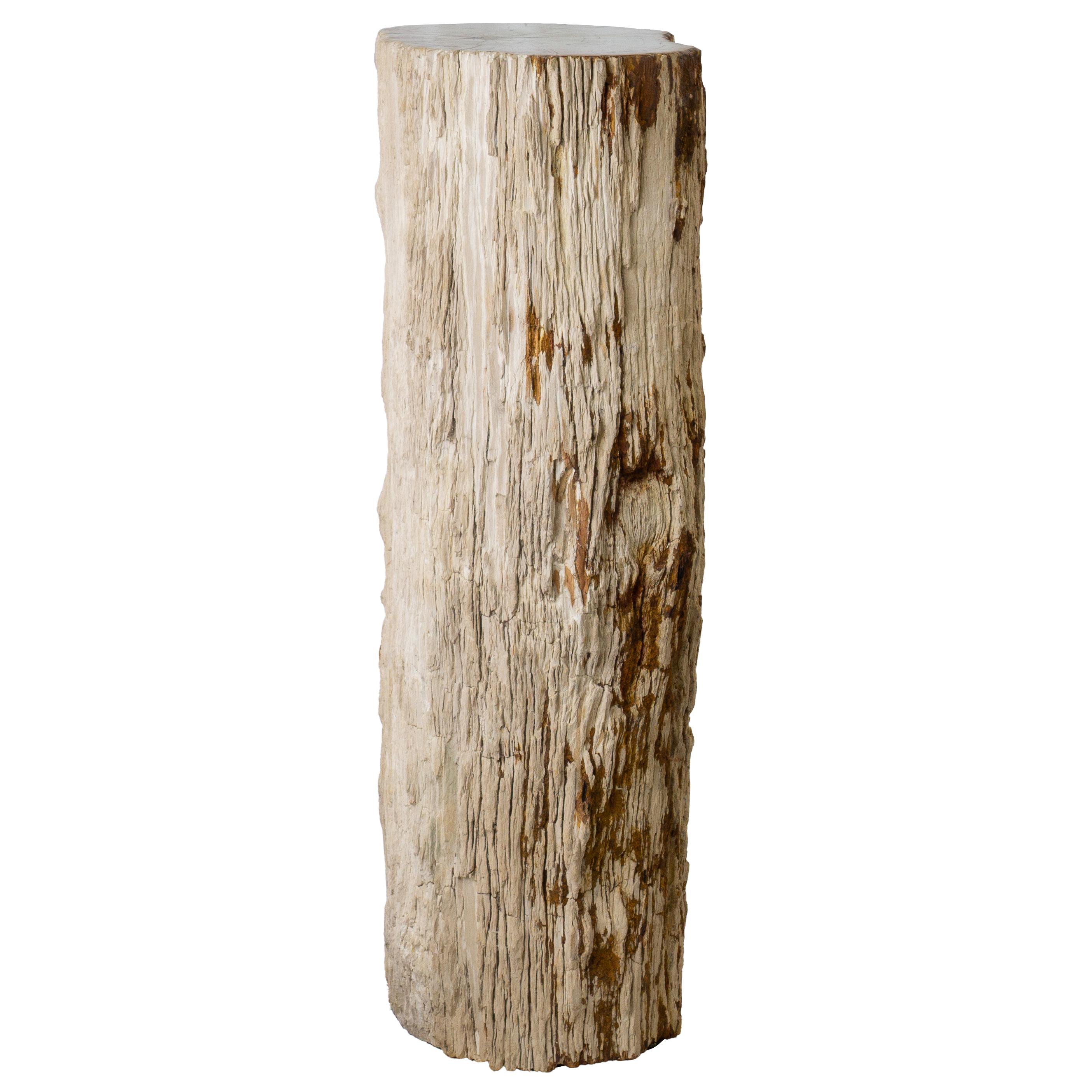 32-Inch Petrified Wood Stone Pillar - Petrified Wood Pedestal With Bark In Excellent Condition In Feasterville Trevose, PA