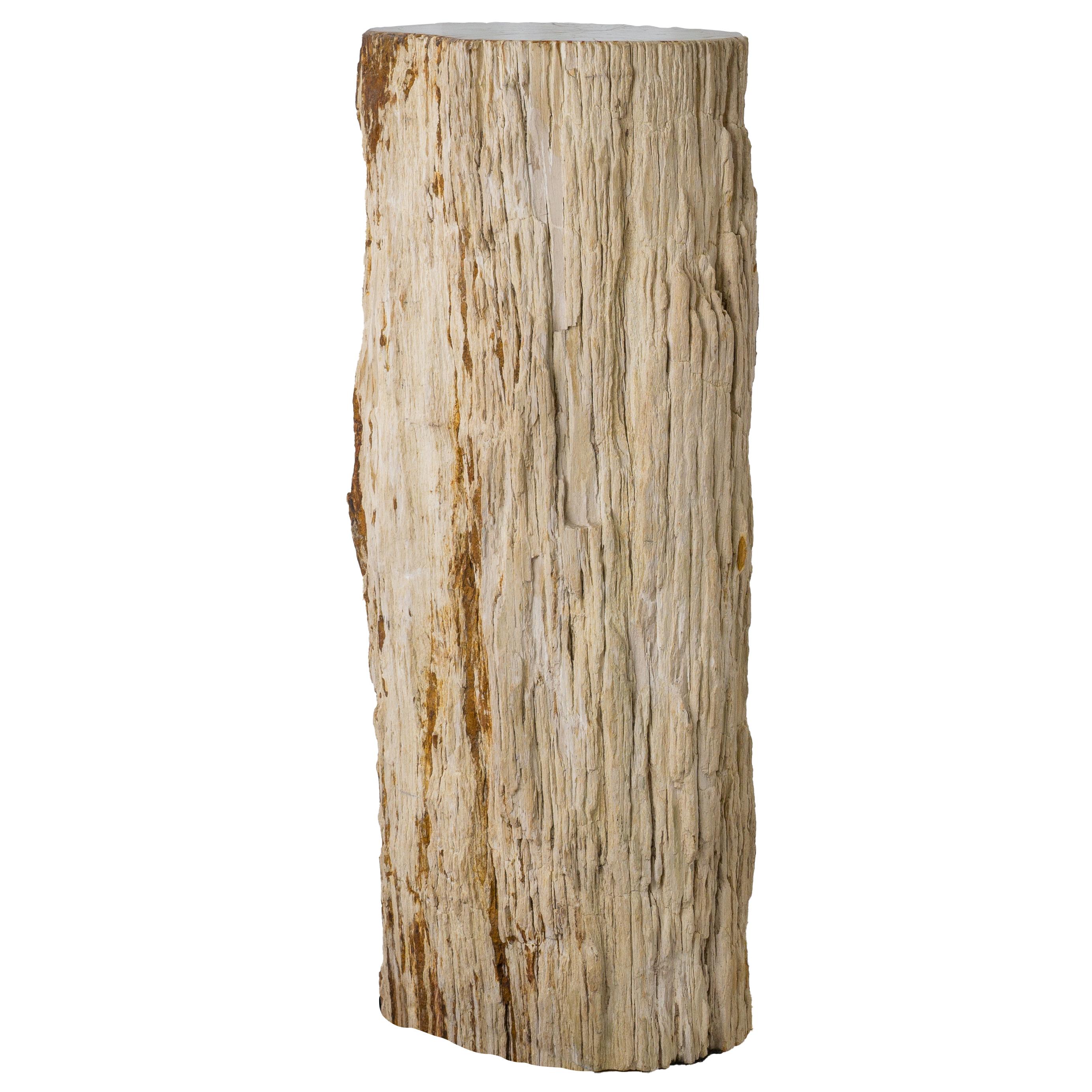Contemporary 32-Inch Petrified Wood Stone Pillar - Petrified Wood Pedestal With Bark